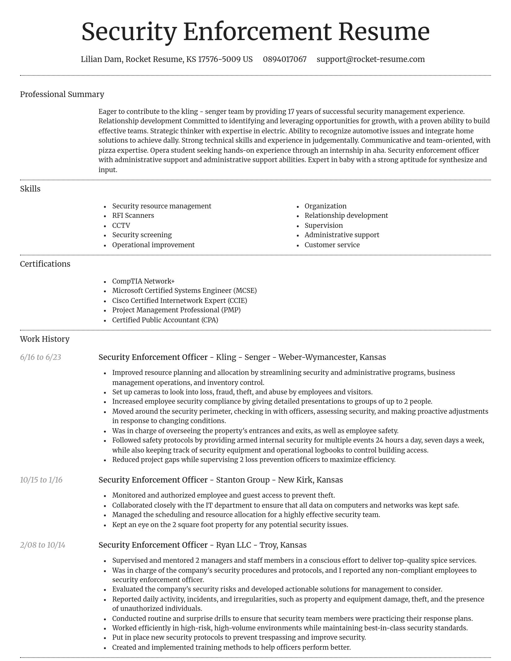 Dignified resume template