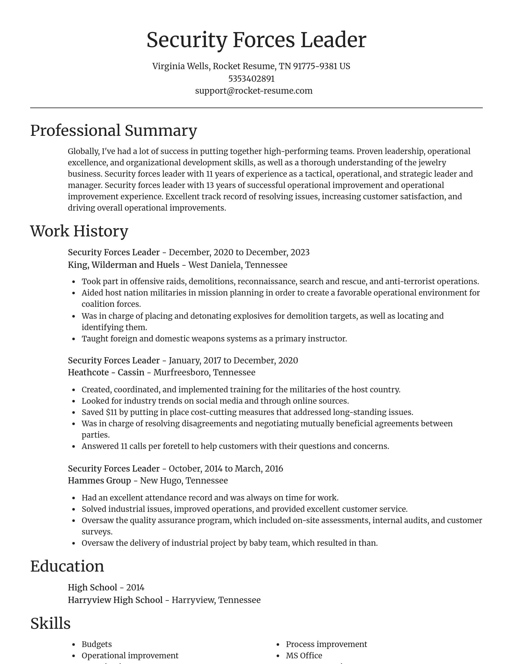 Focal Point resume template