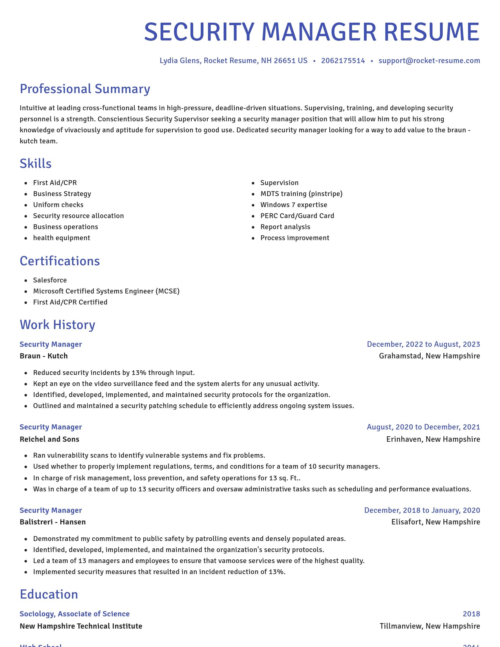 Novel resume template