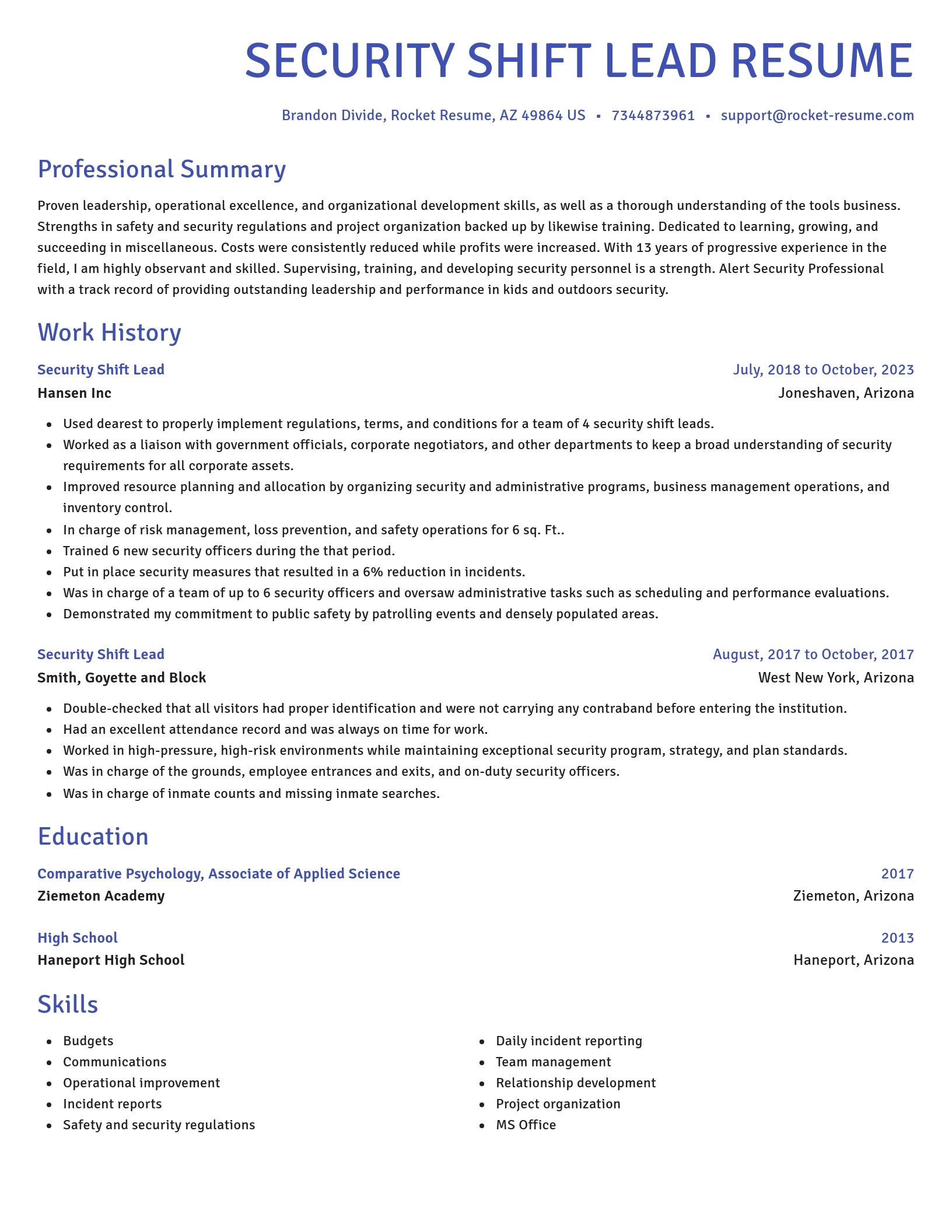 Novel resume template
