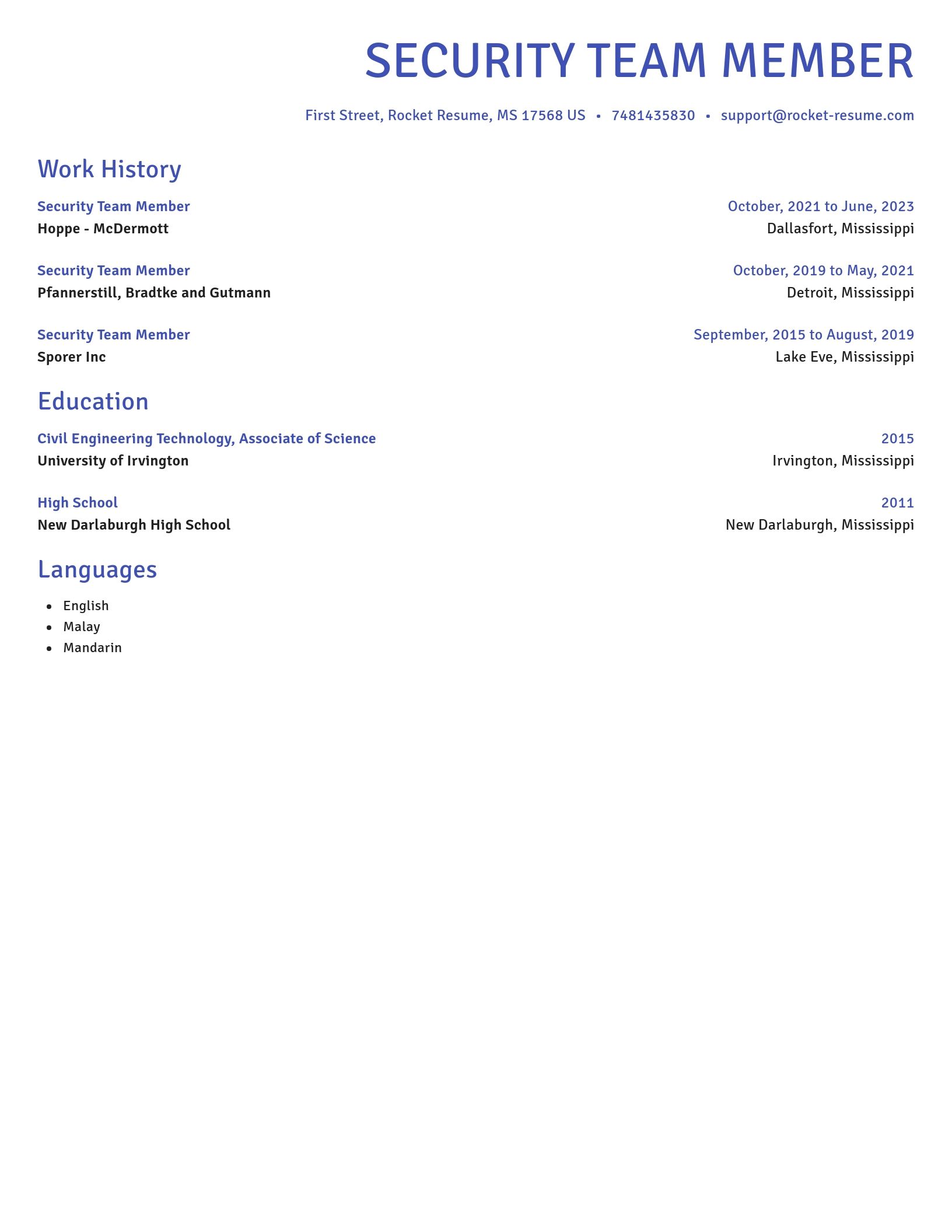 Novel resume template