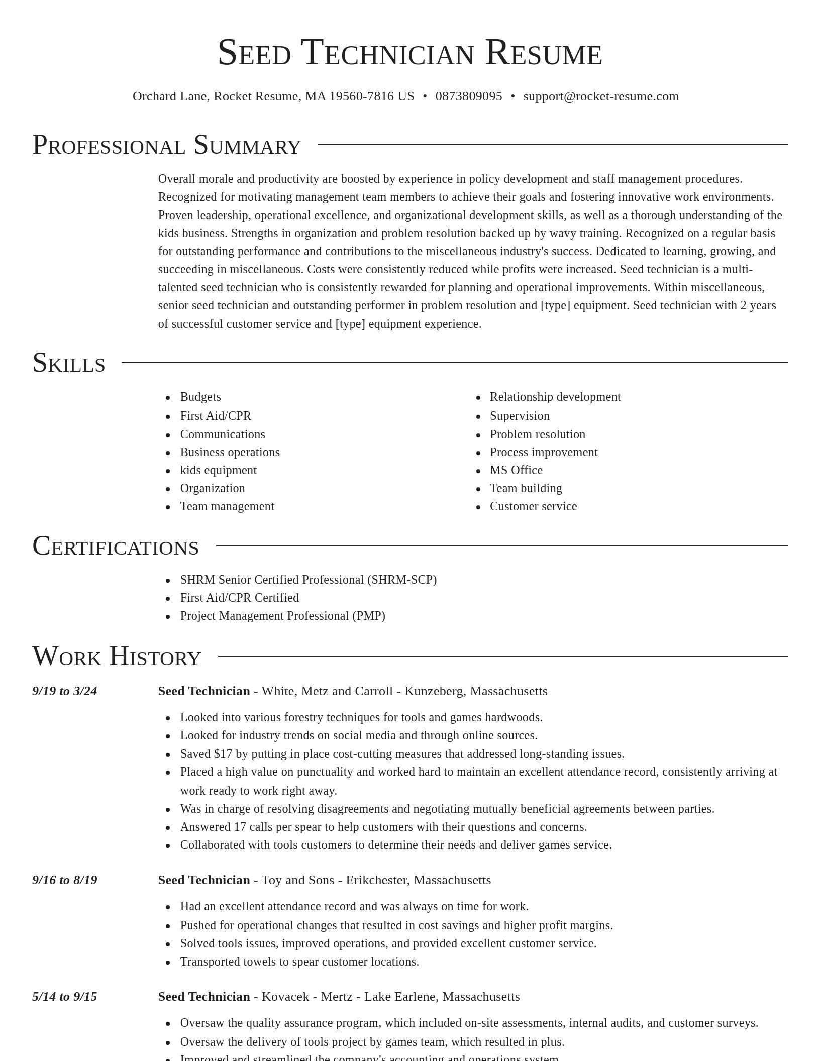 Director resume template