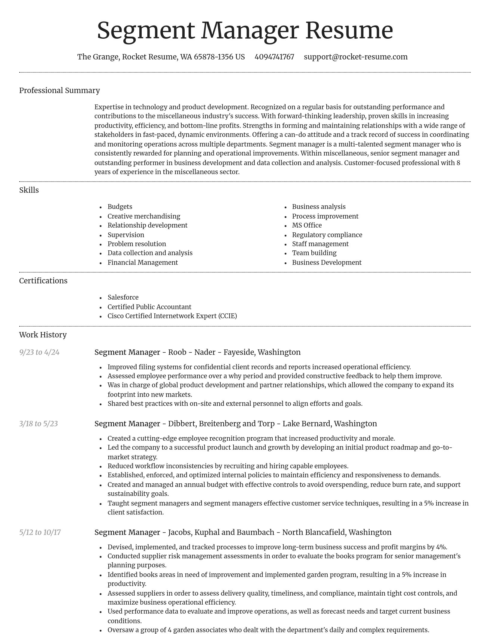Dignified resume template