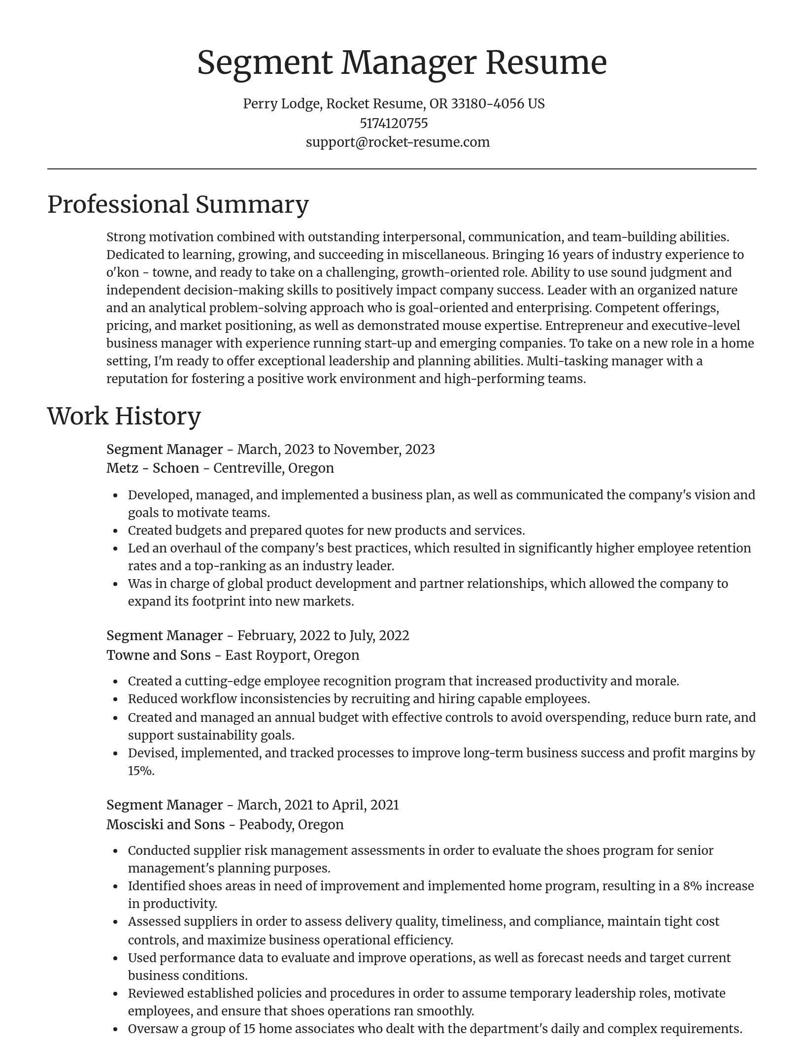 Focal Point resume template