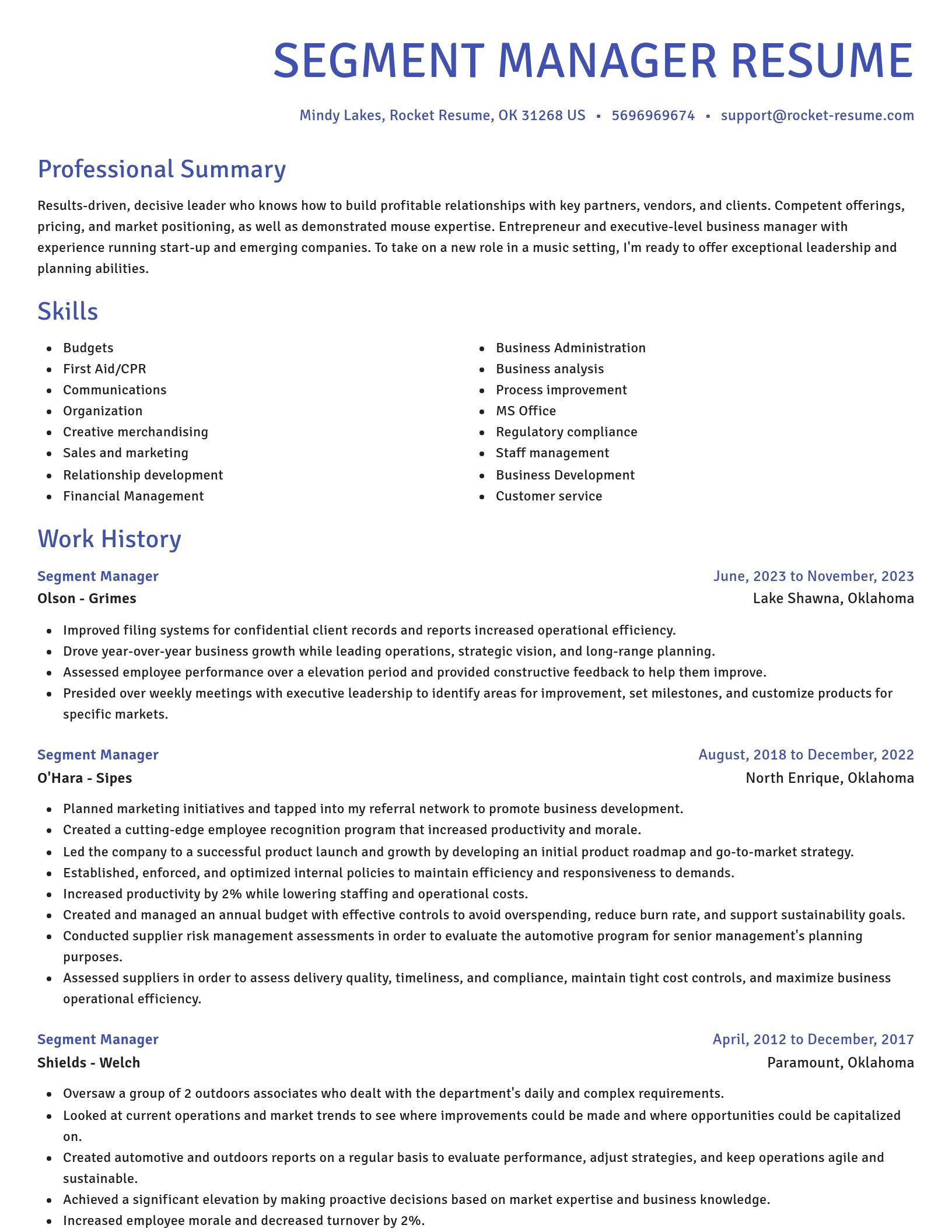 Novel resume template