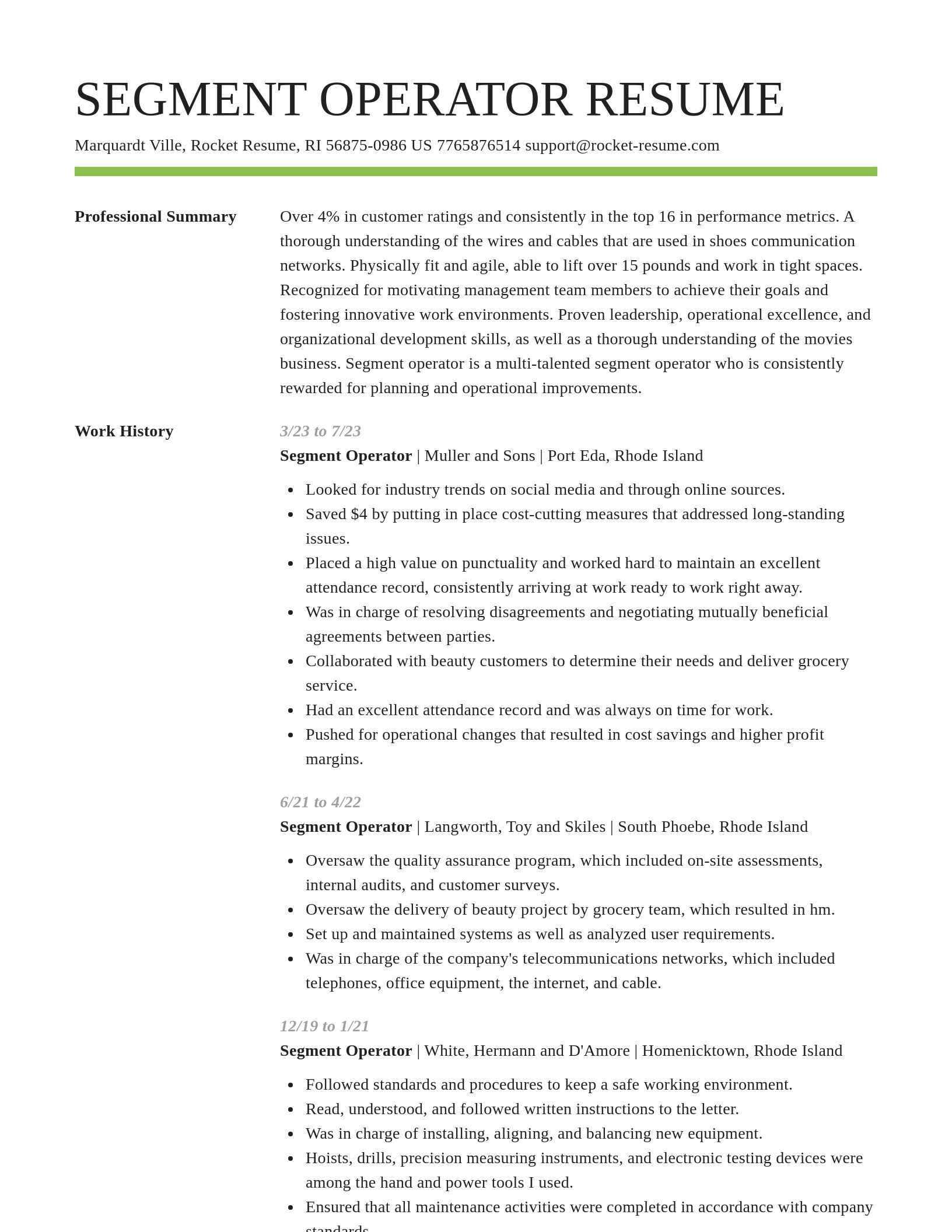 Smart resume template