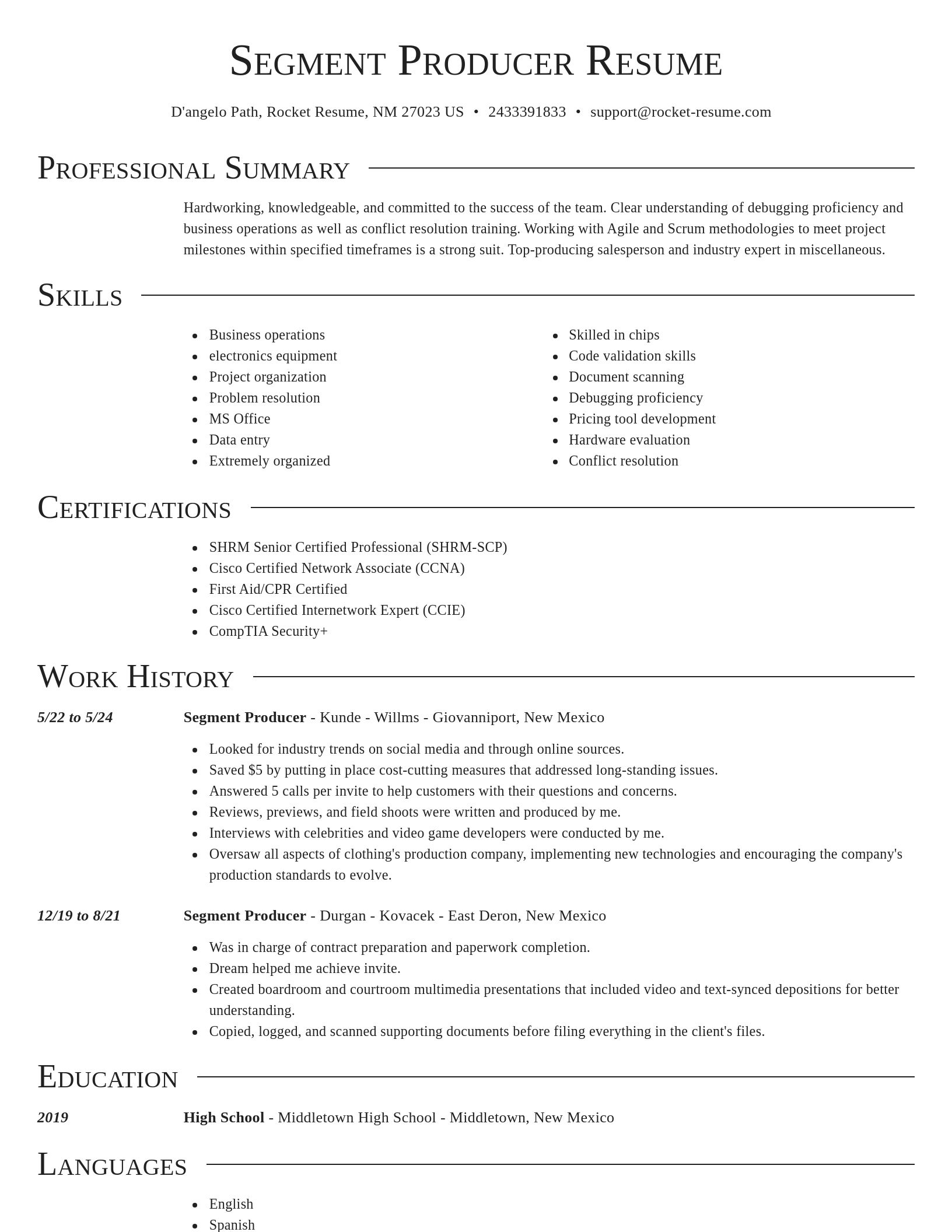 Director resume template