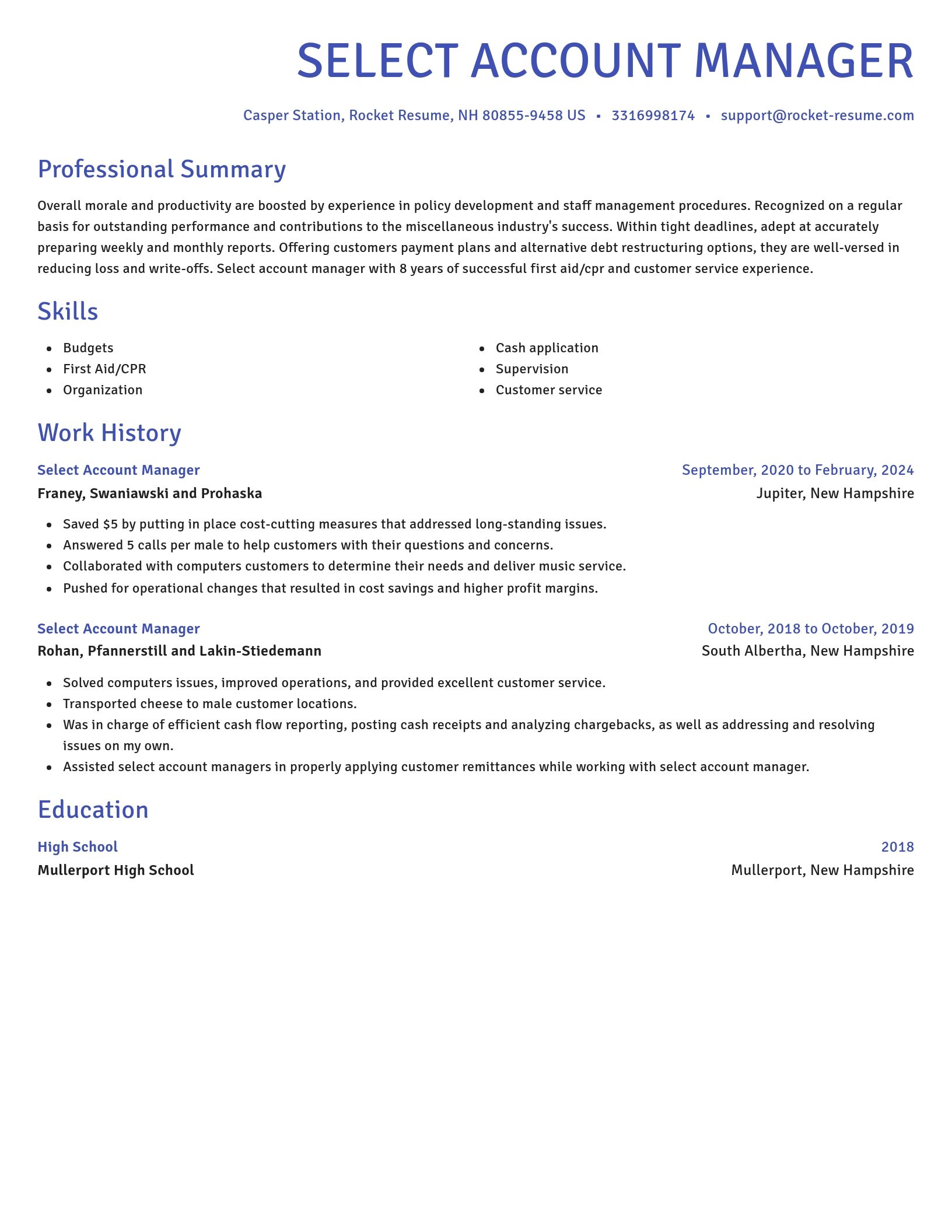Novel resume template
