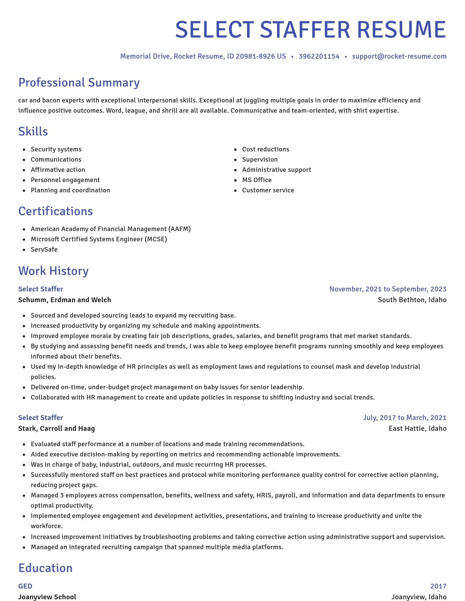 Novel resume template