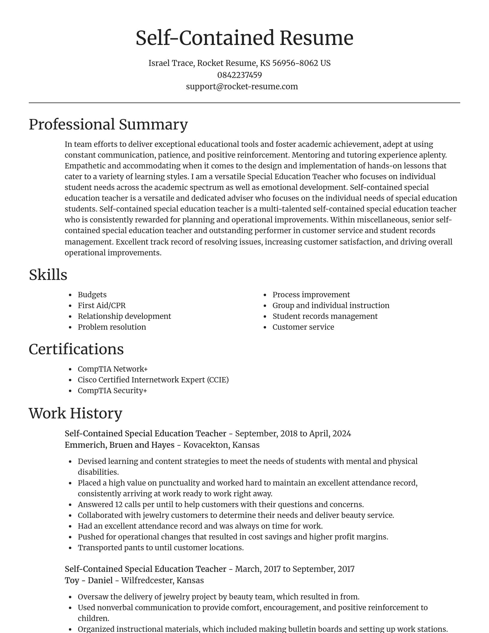 Focal Point resume template