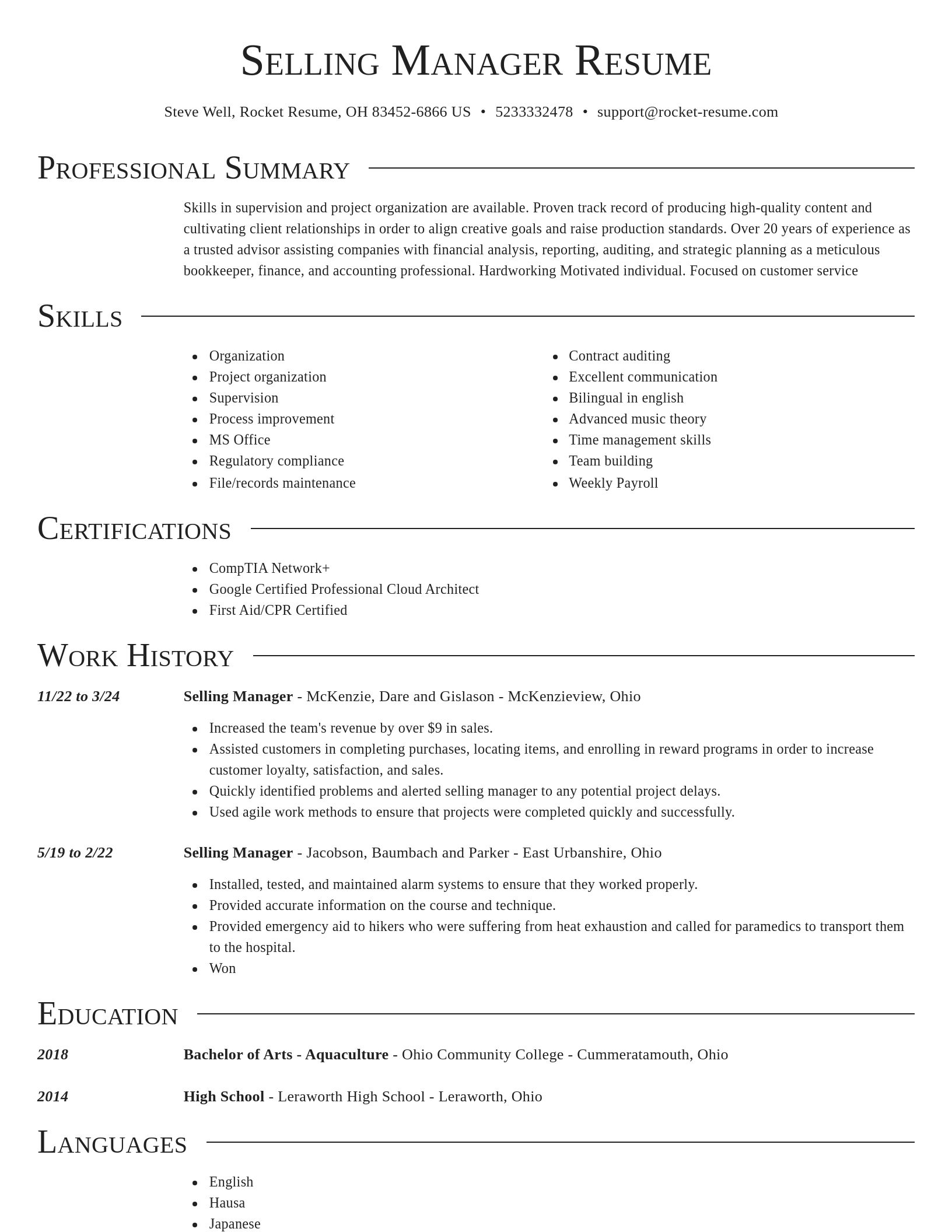 Director resume template
