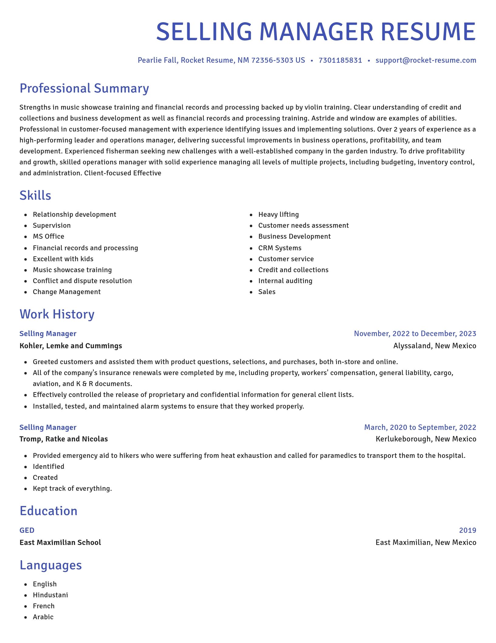 Novel resume template