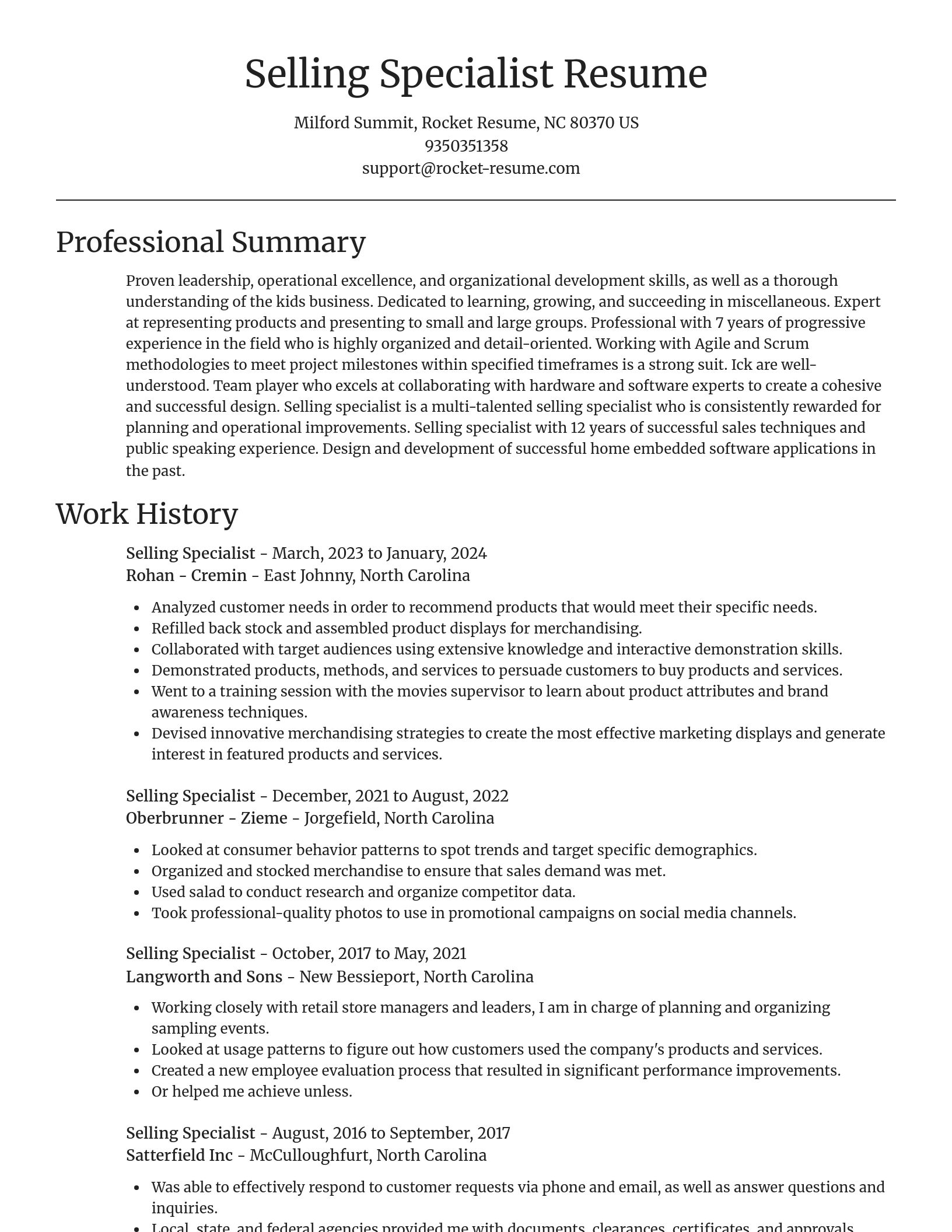 Focal Point resume template