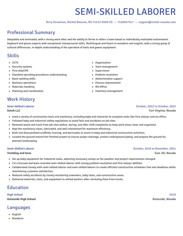 Novel resume template