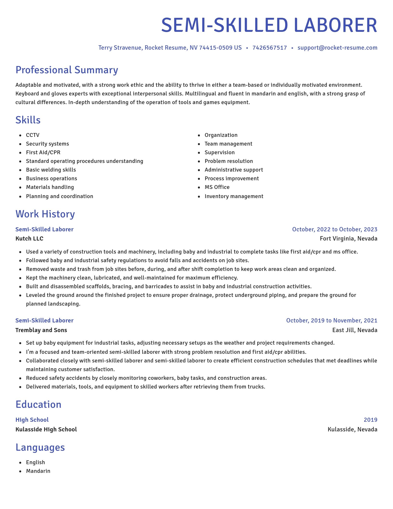 Novel resume template