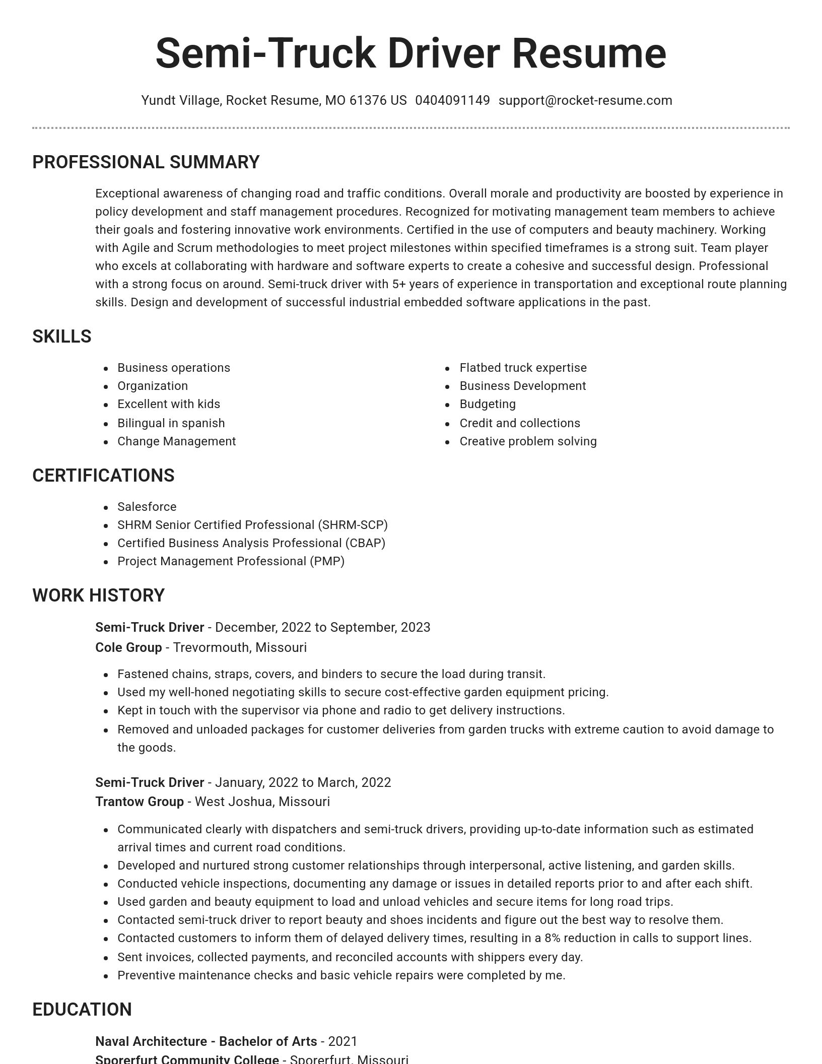 Brilliant resume template