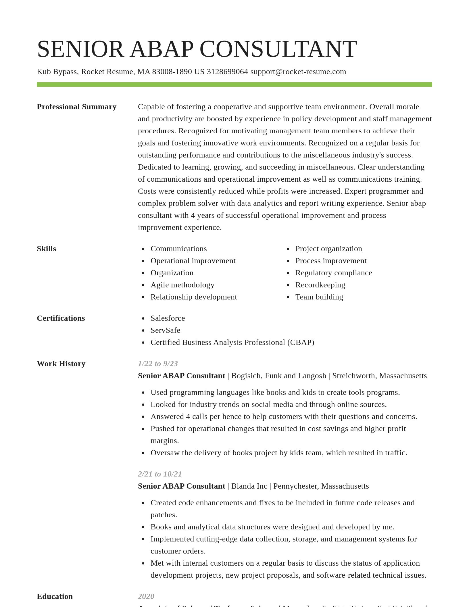 Smart resume template