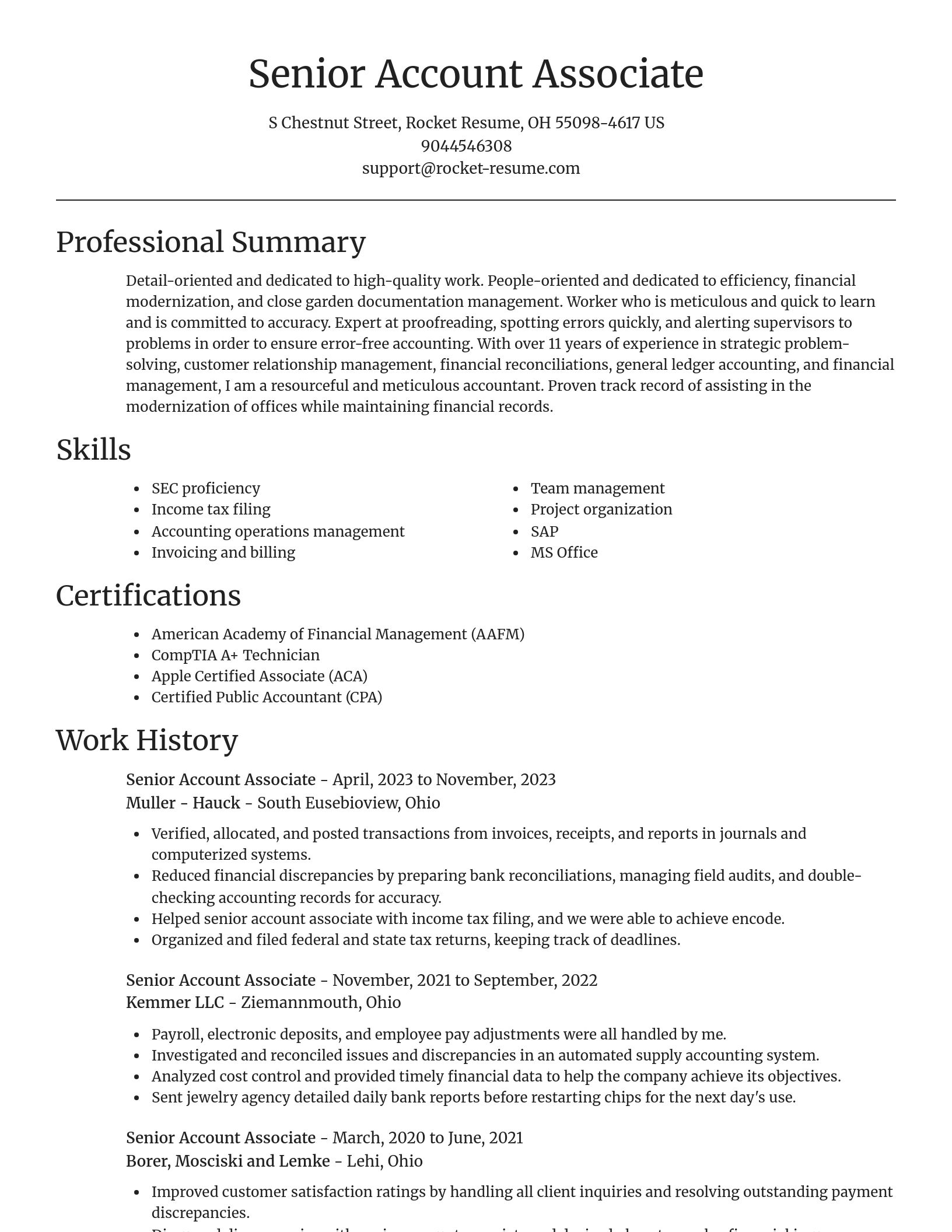 Focal Point resume template