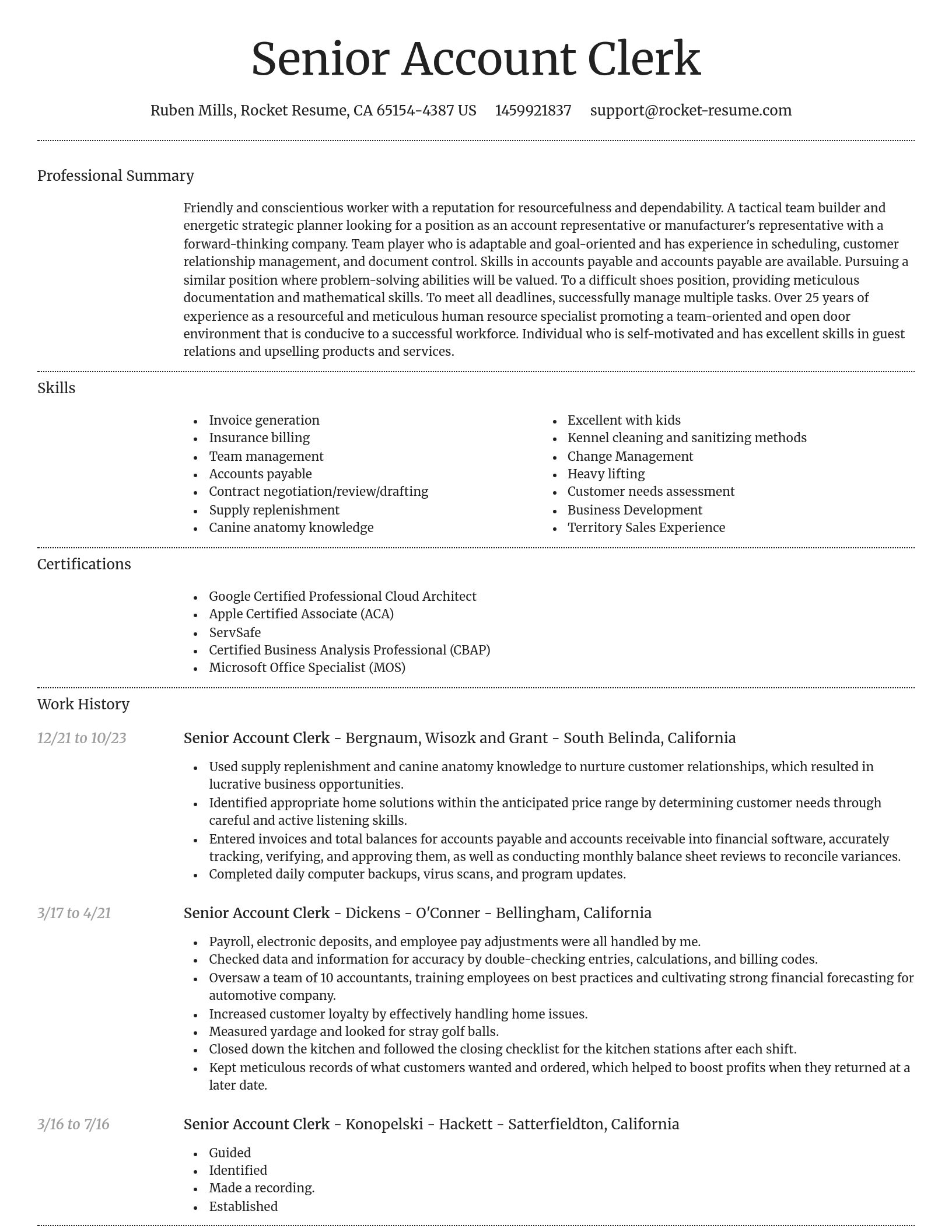 Dignified resume template
