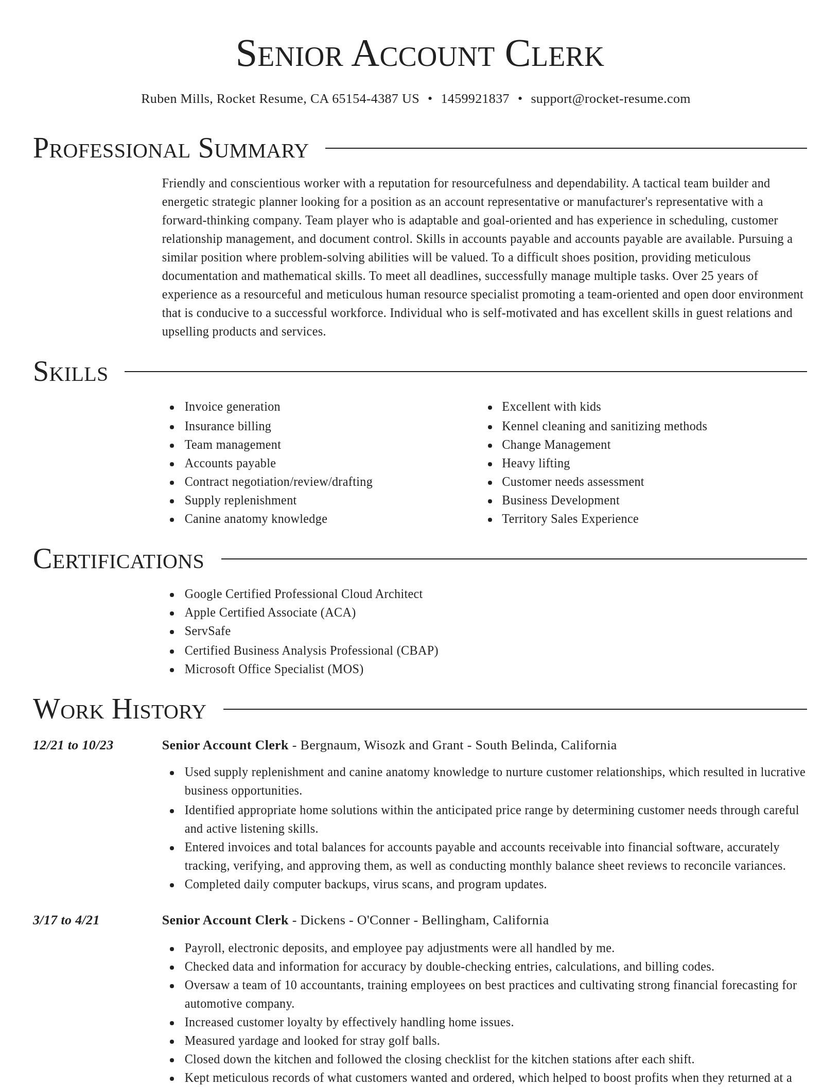 Director resume template