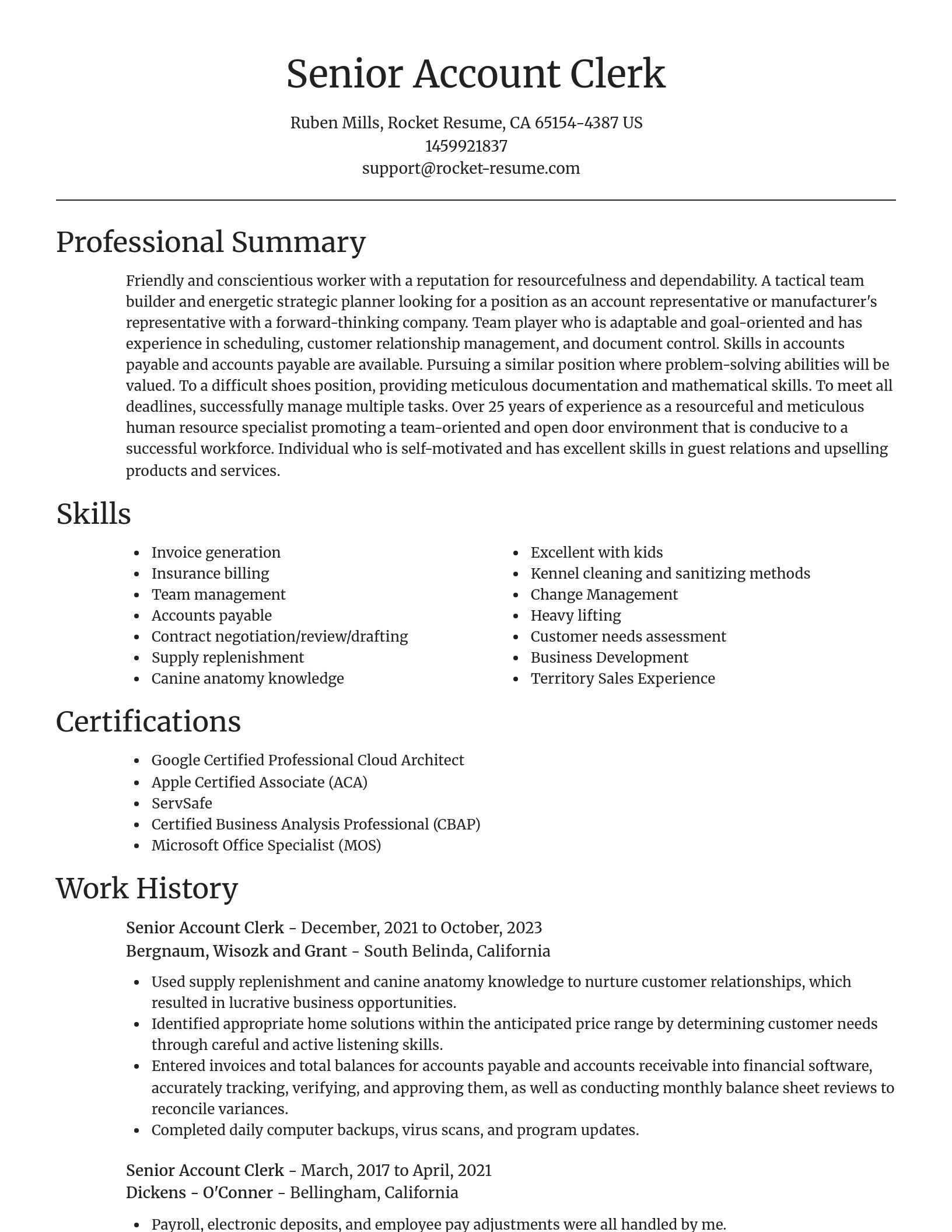 Focal Point resume template
