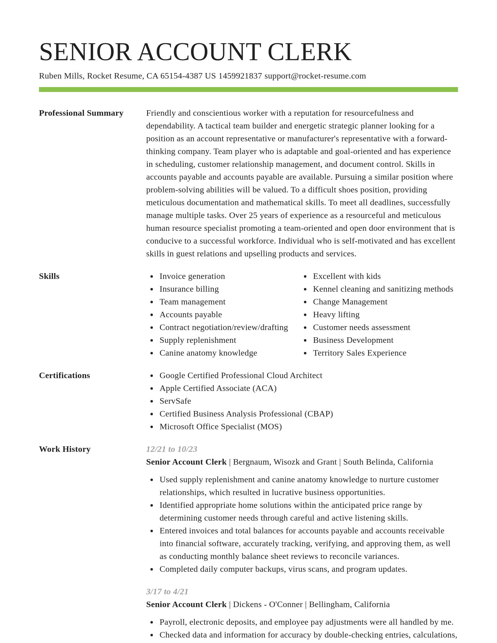 Smart resume template