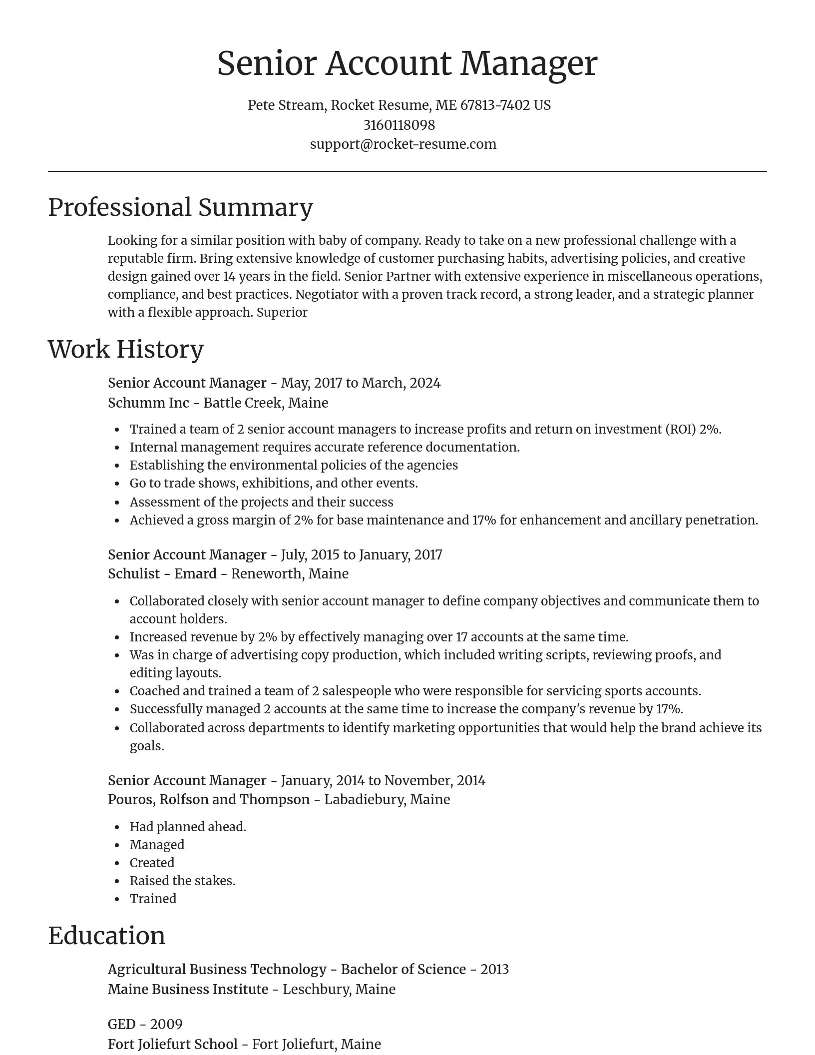 Focal Point resume template