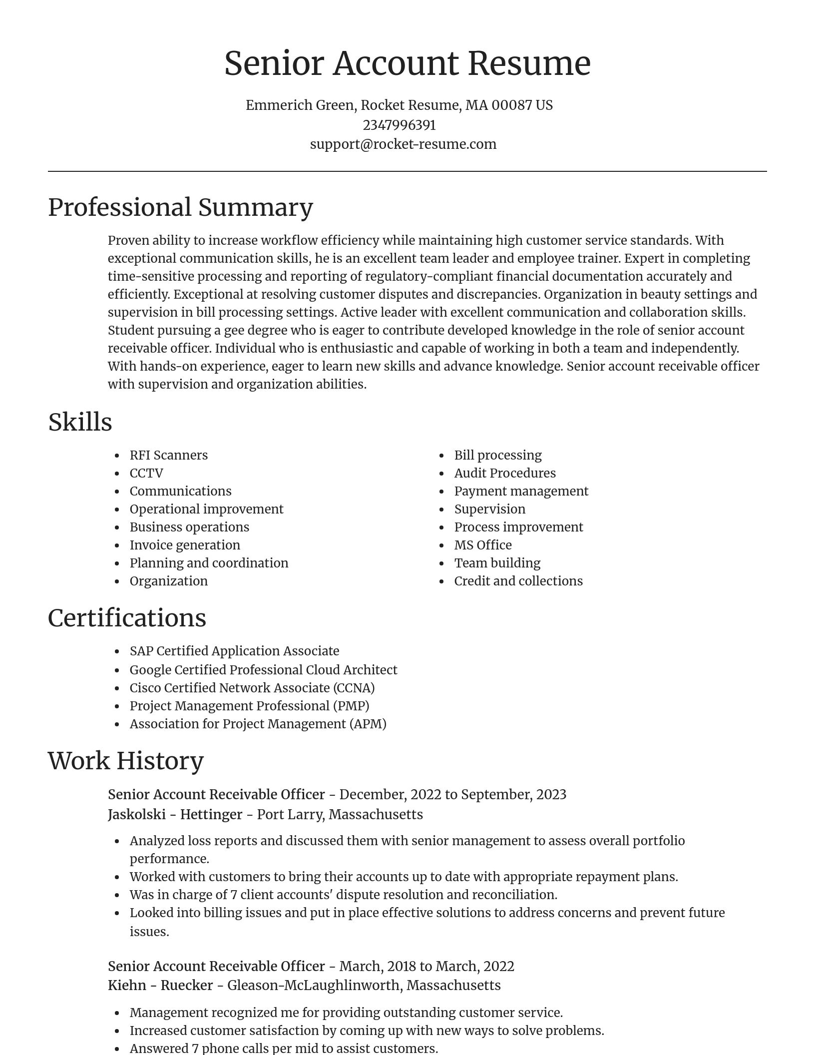 Focal Point resume template