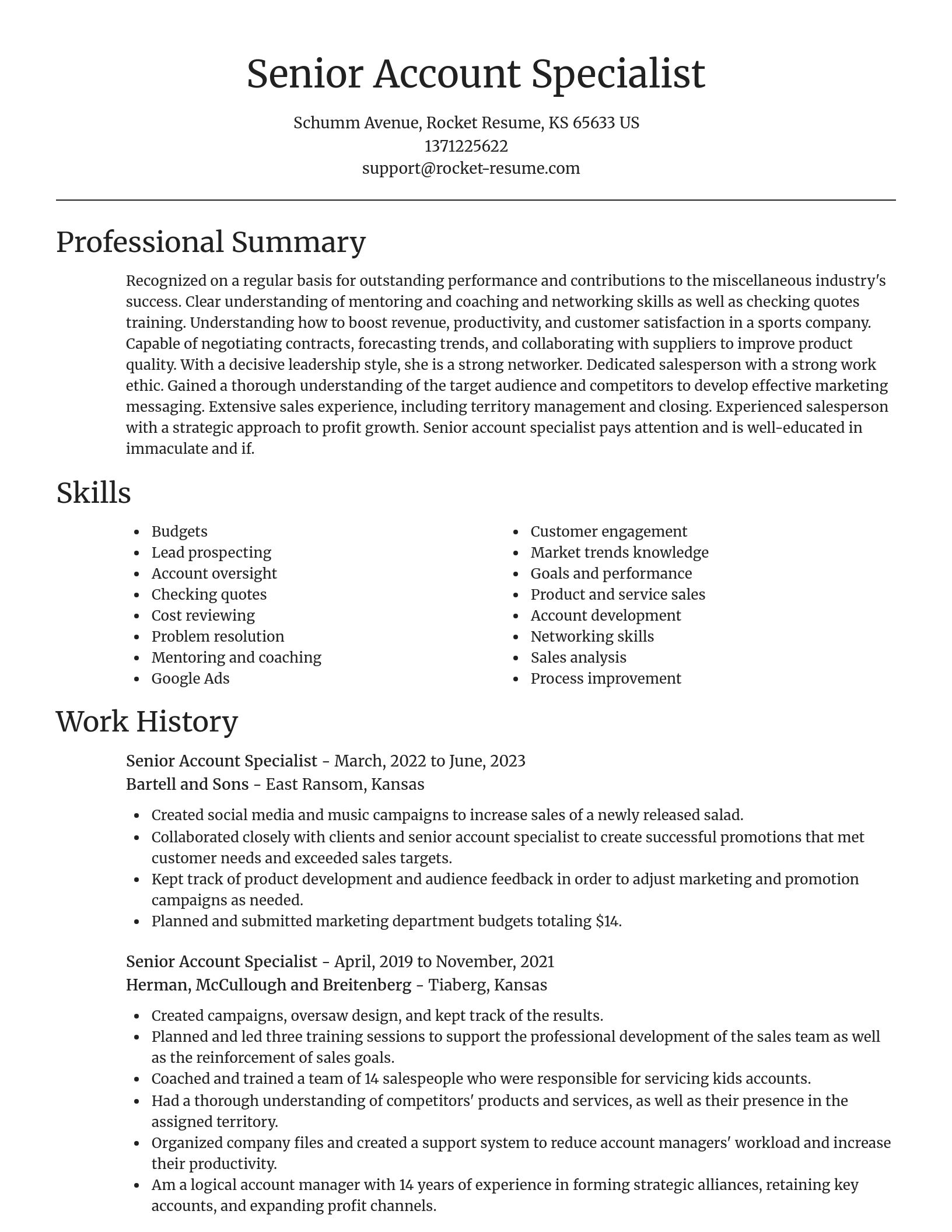 Focal Point resume template