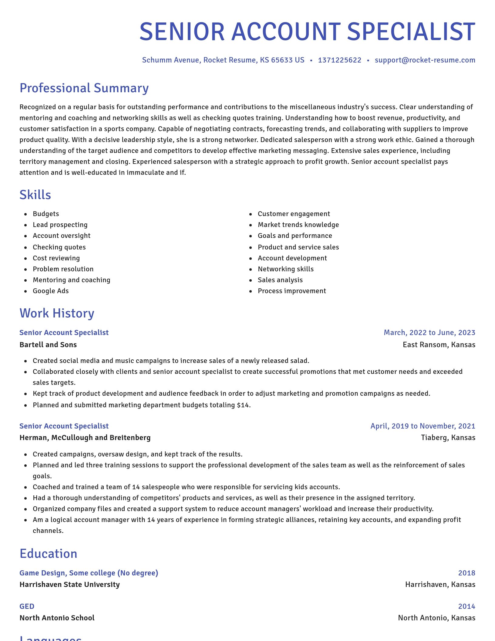 Novel resume template
