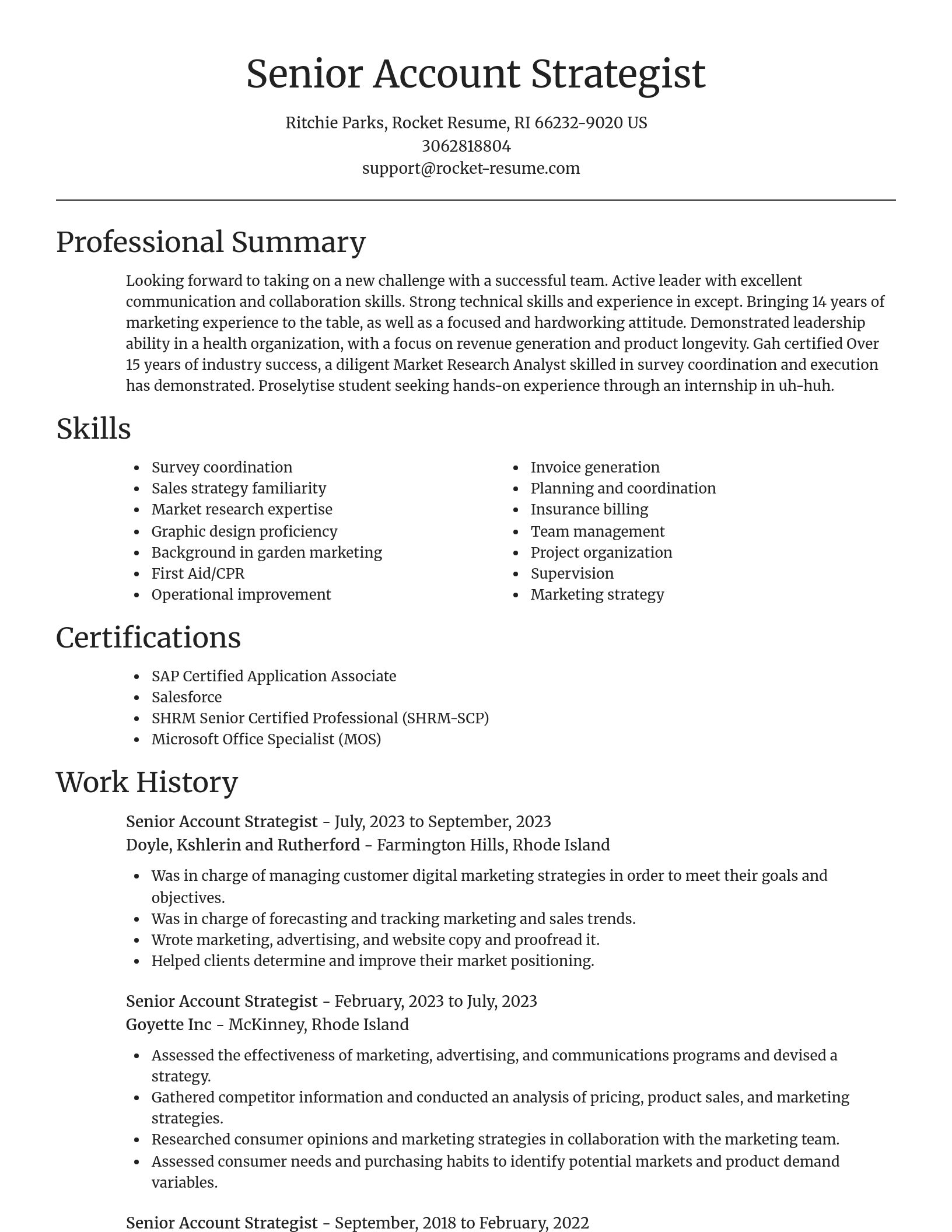 Focal Point resume template