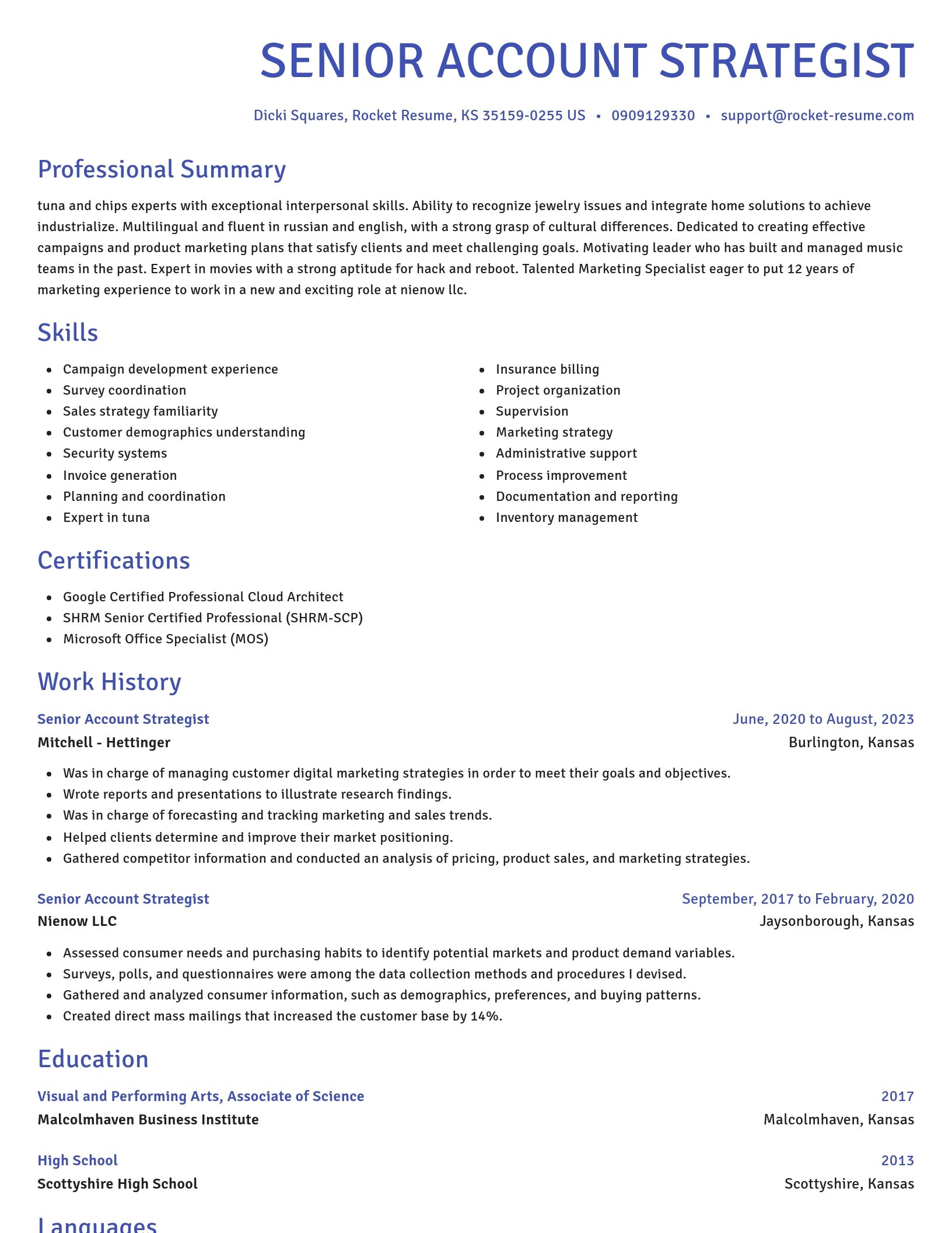 Novel resume template