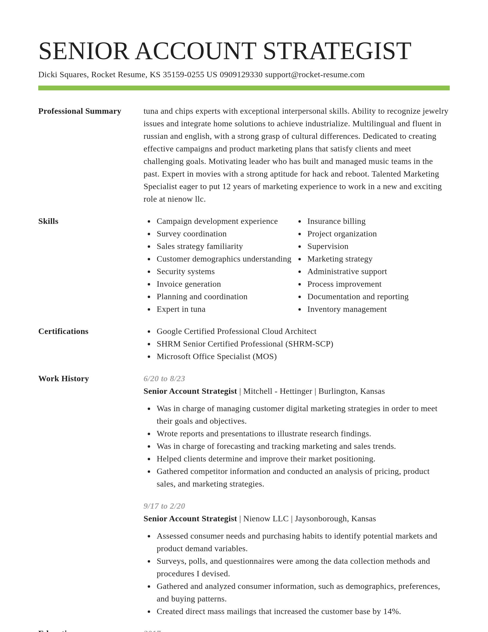 Smart resume template