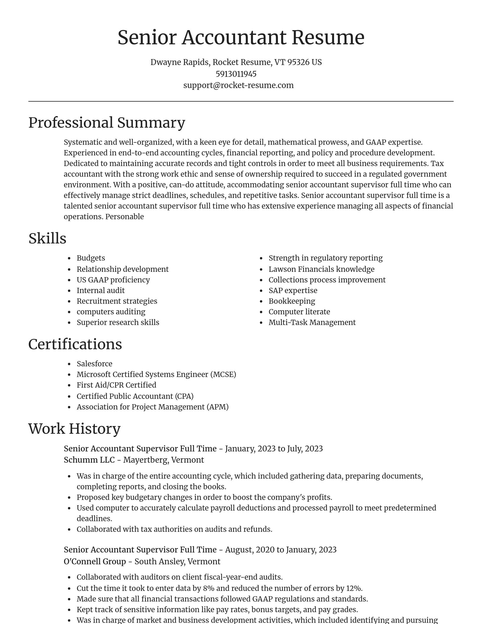 Focal Point resume template
