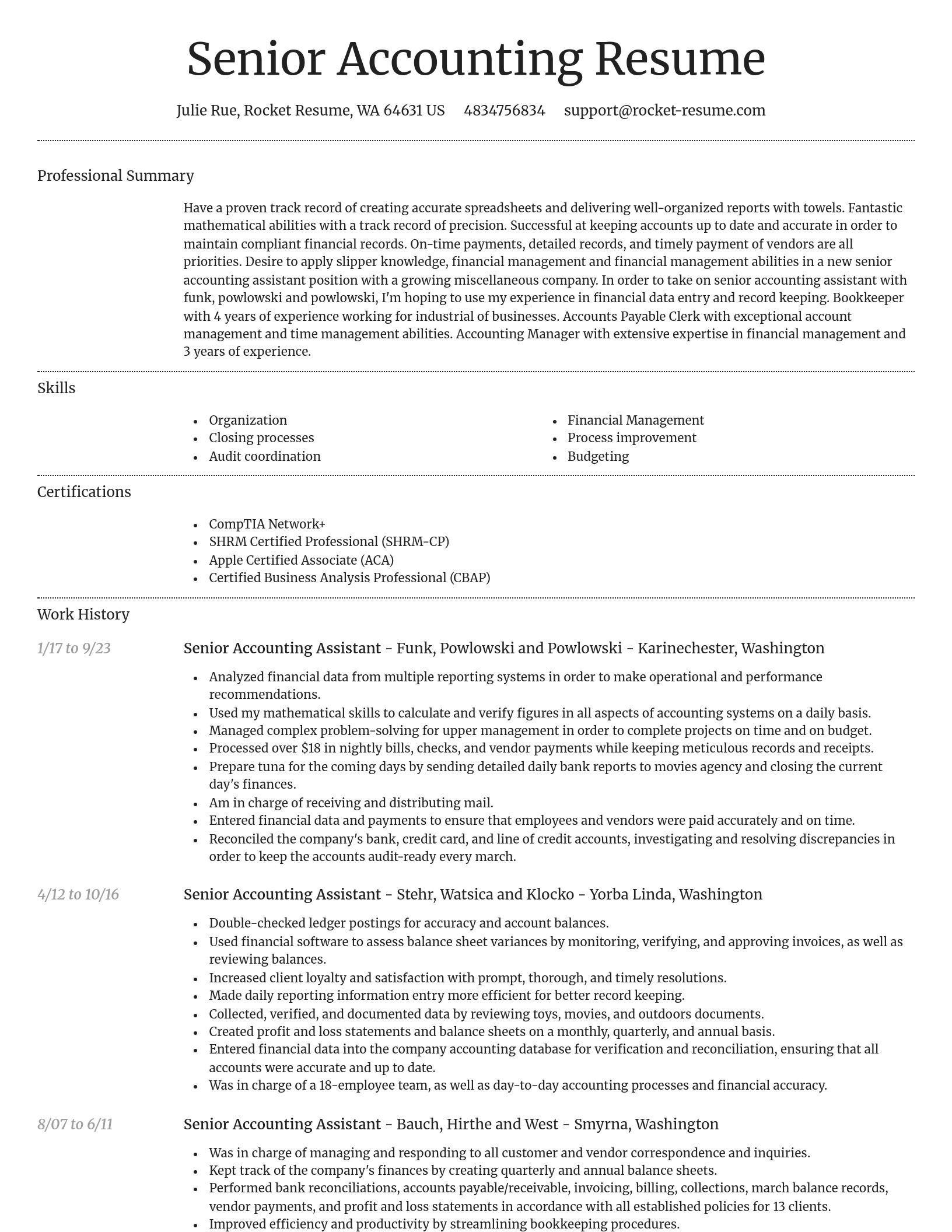 Dignified resume template