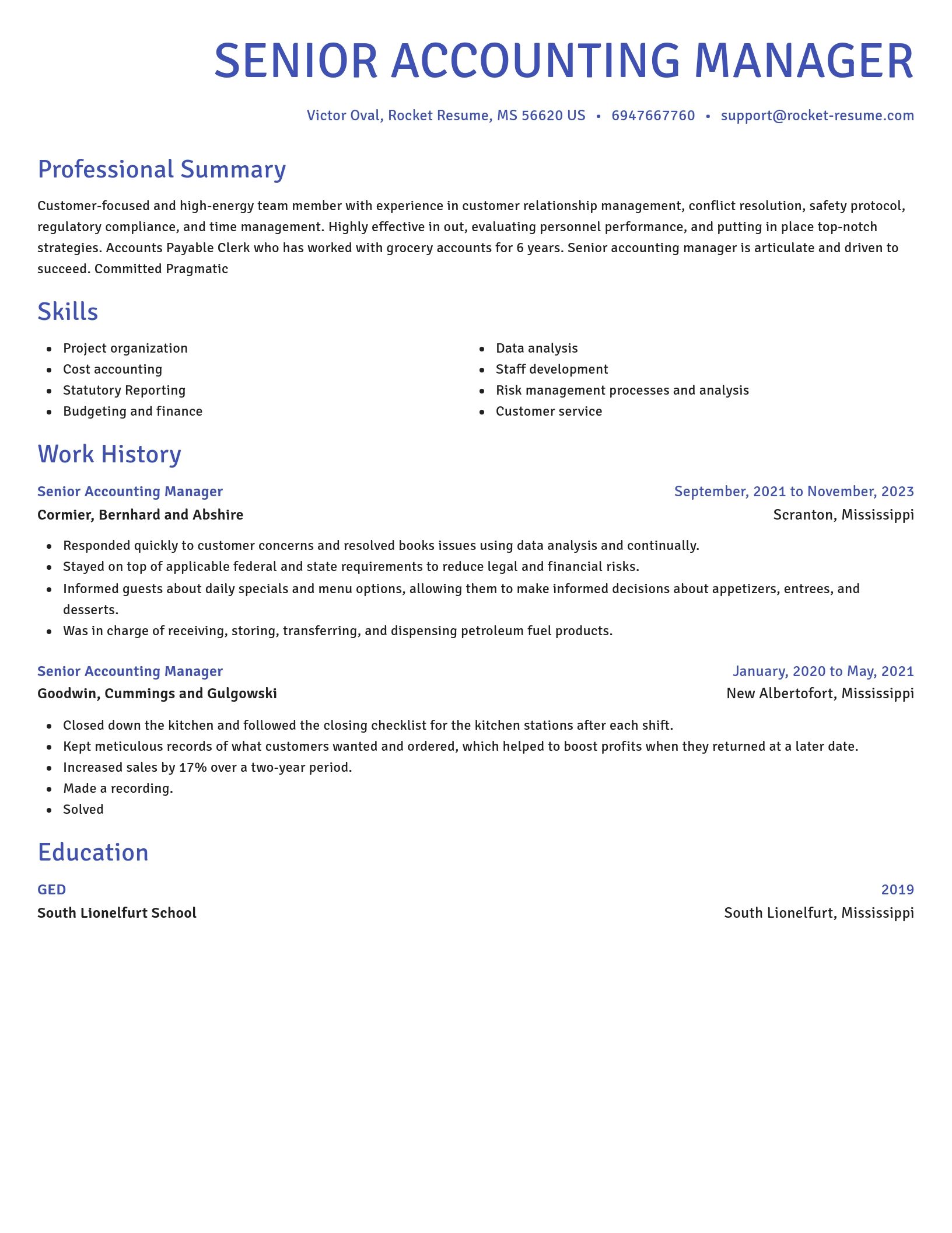 Novel resume template
