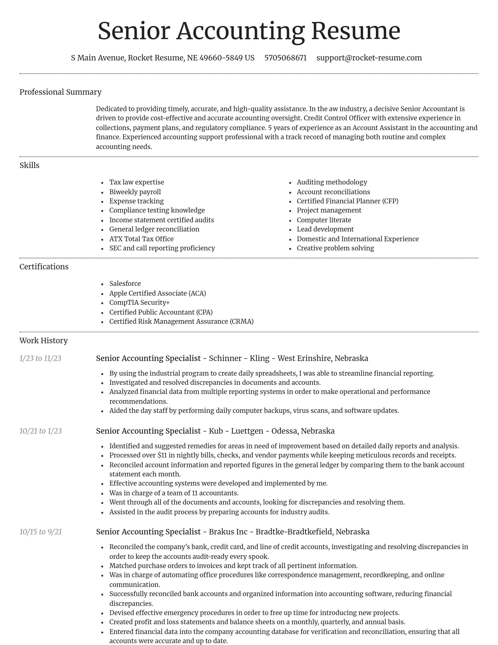 Dignified resume template