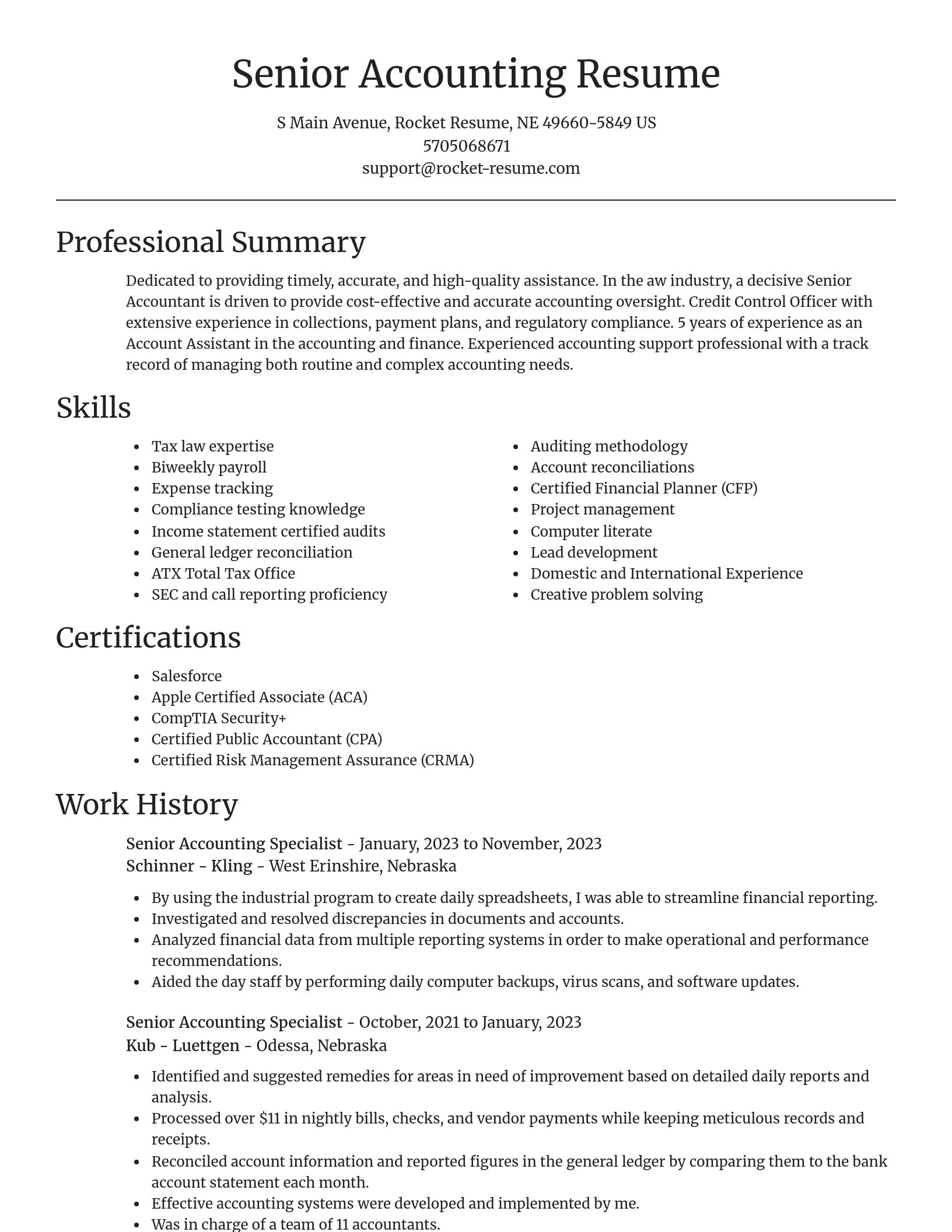 Focal Point resume template