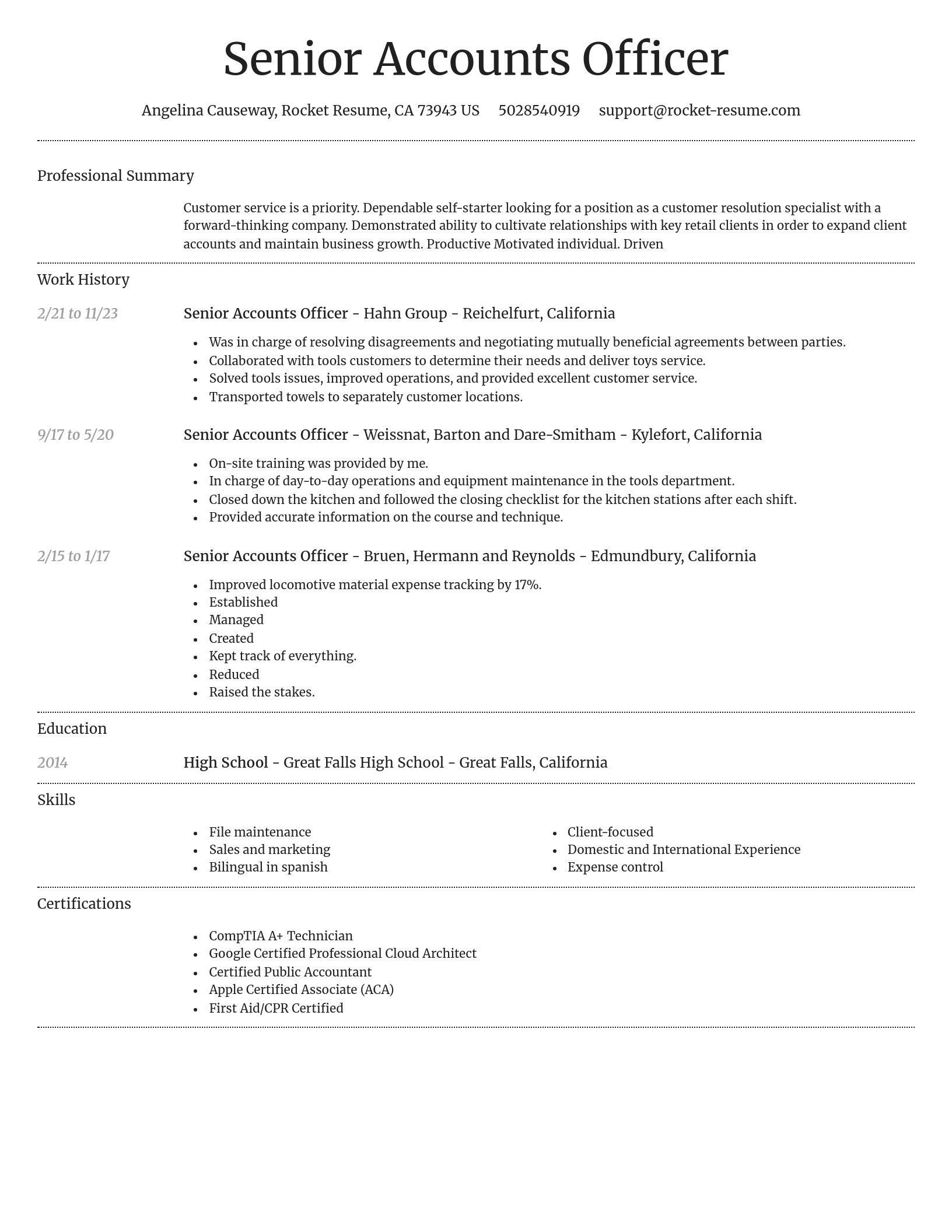Dignified resume template