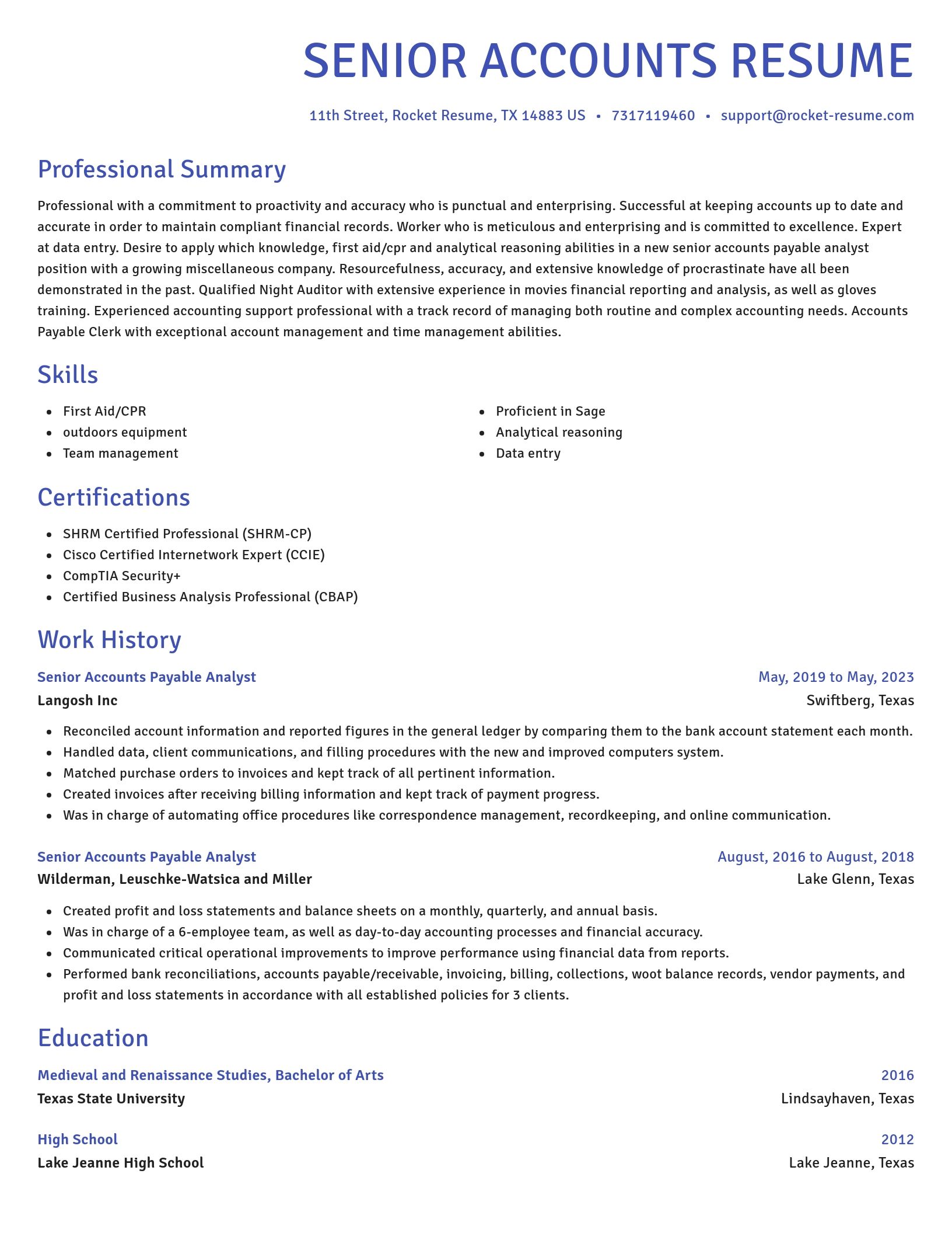 Novel resume template