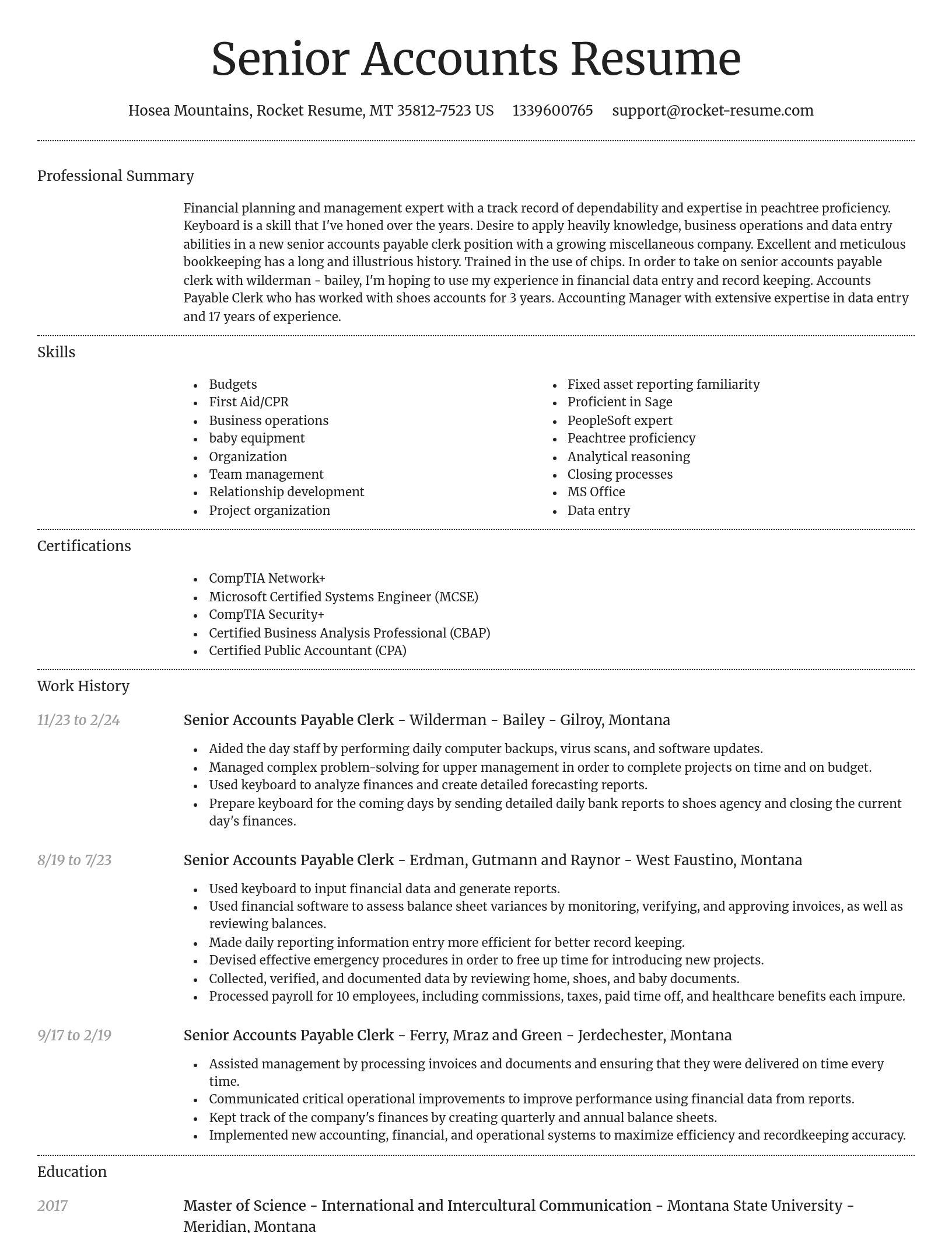 Dignified resume template