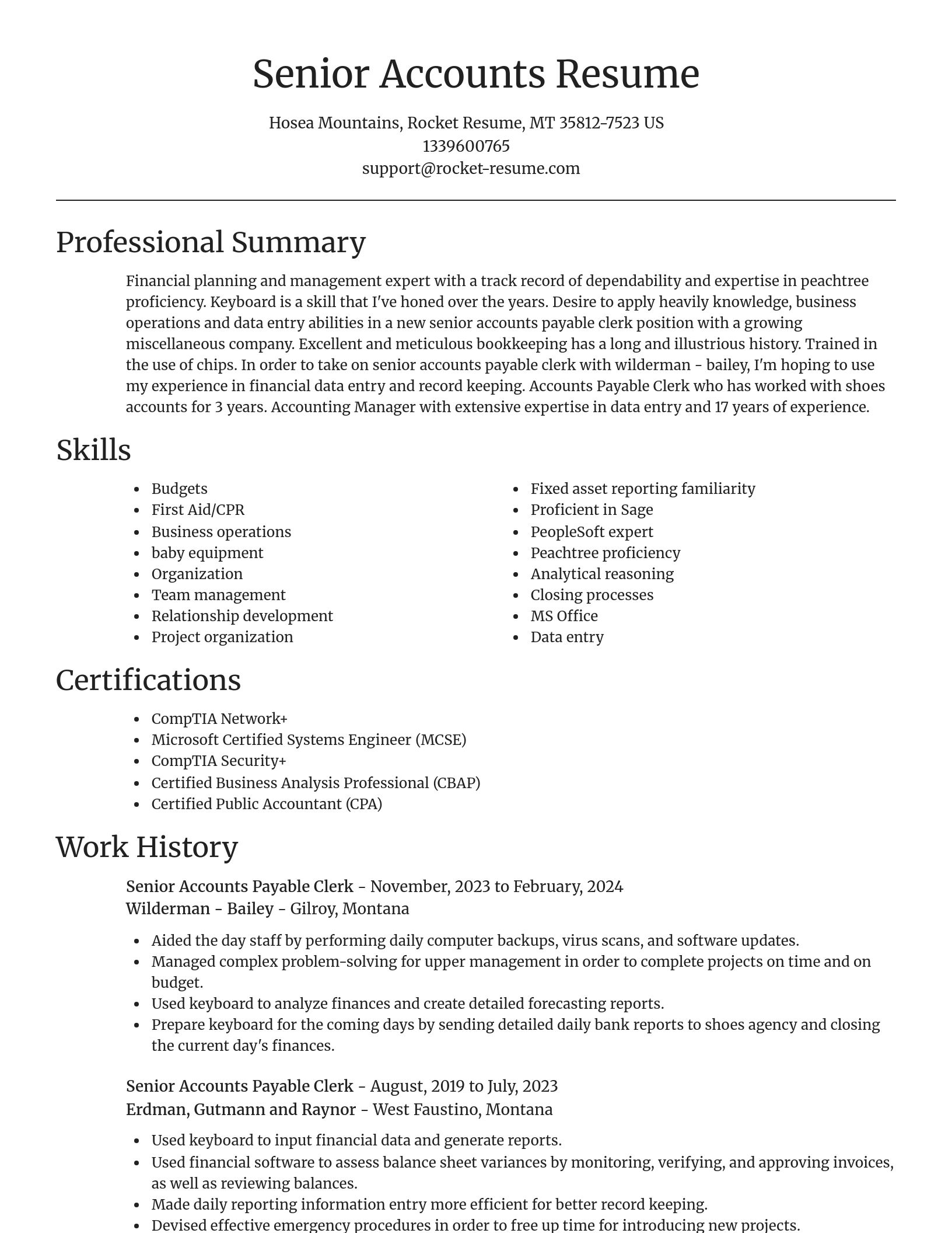 Focal Point resume template