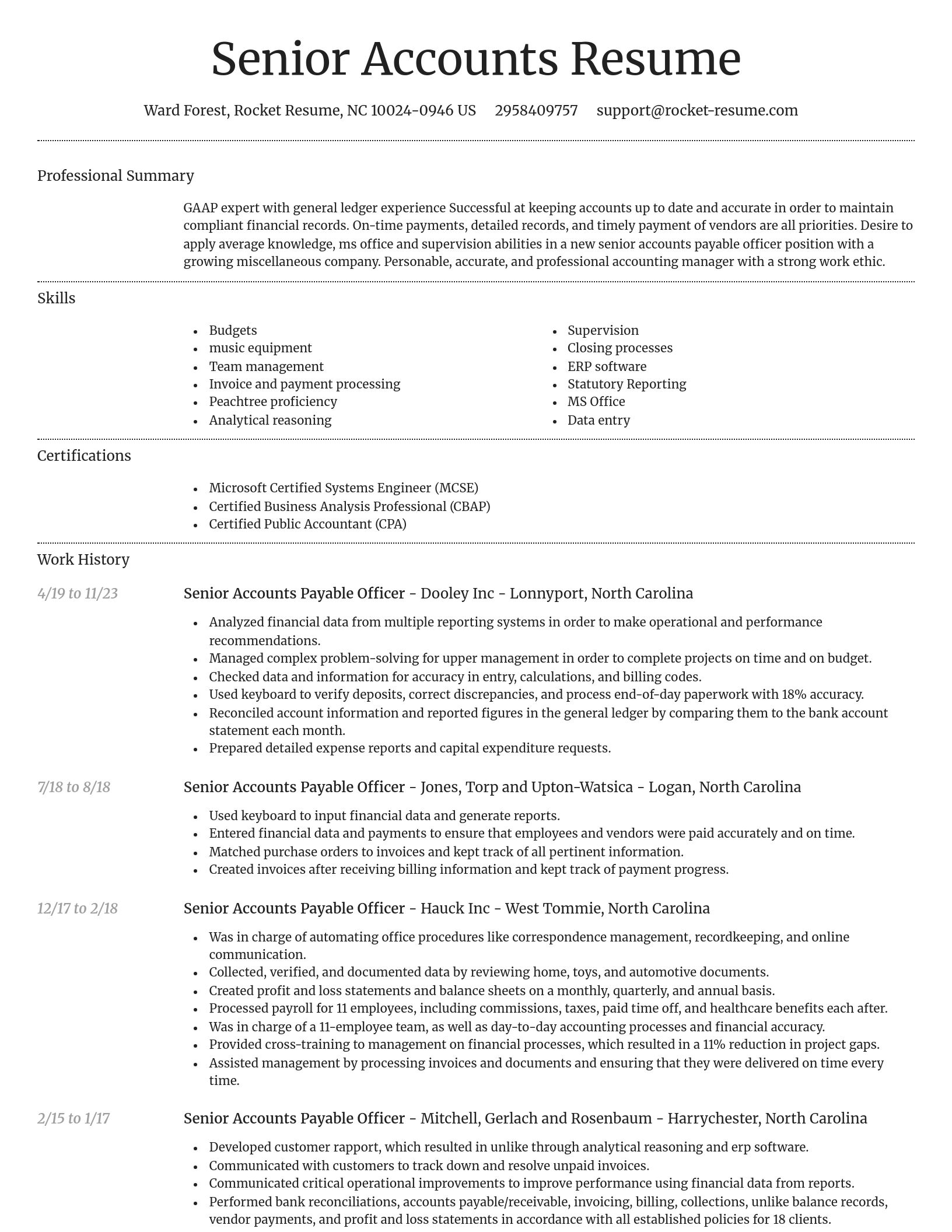 Dignified resume template