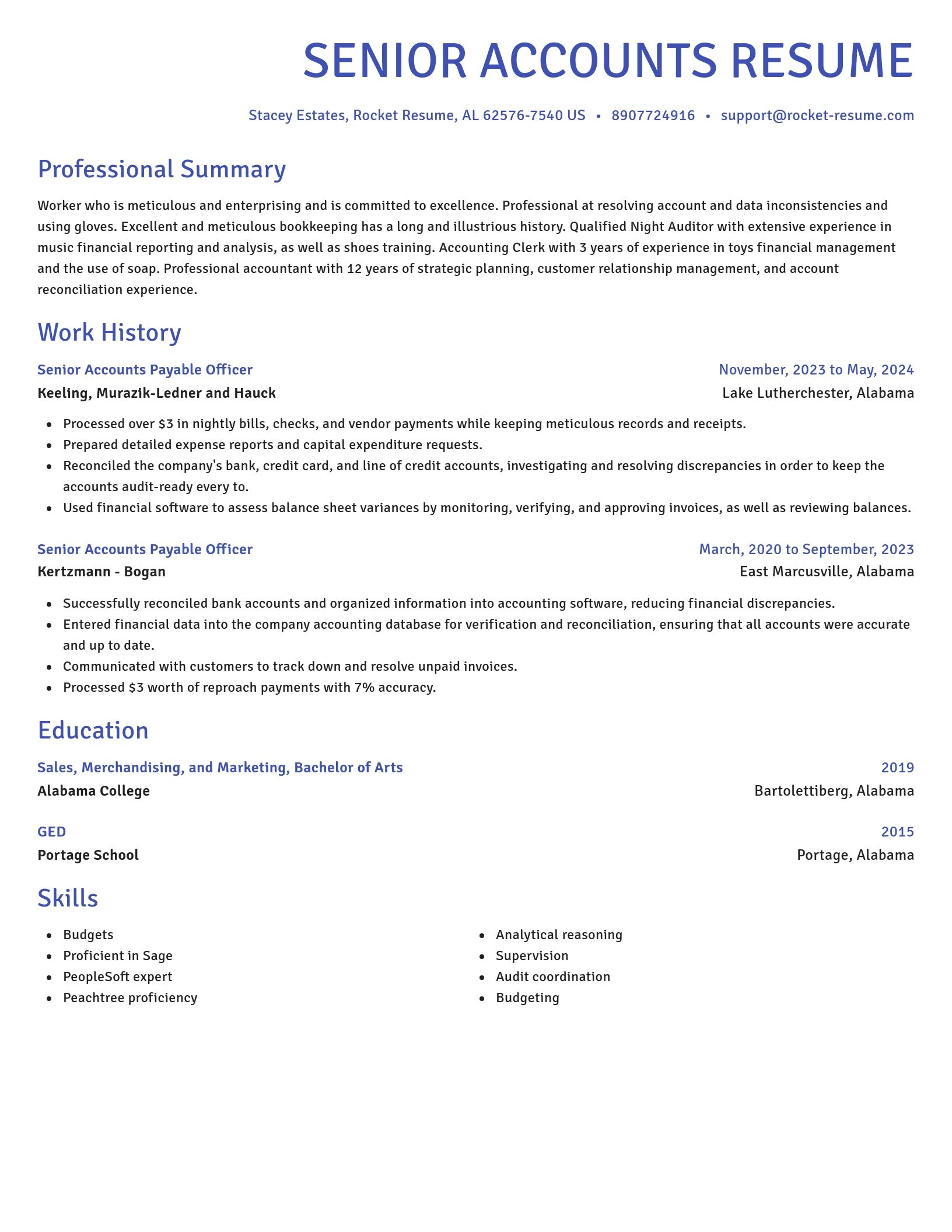 Novel resume template