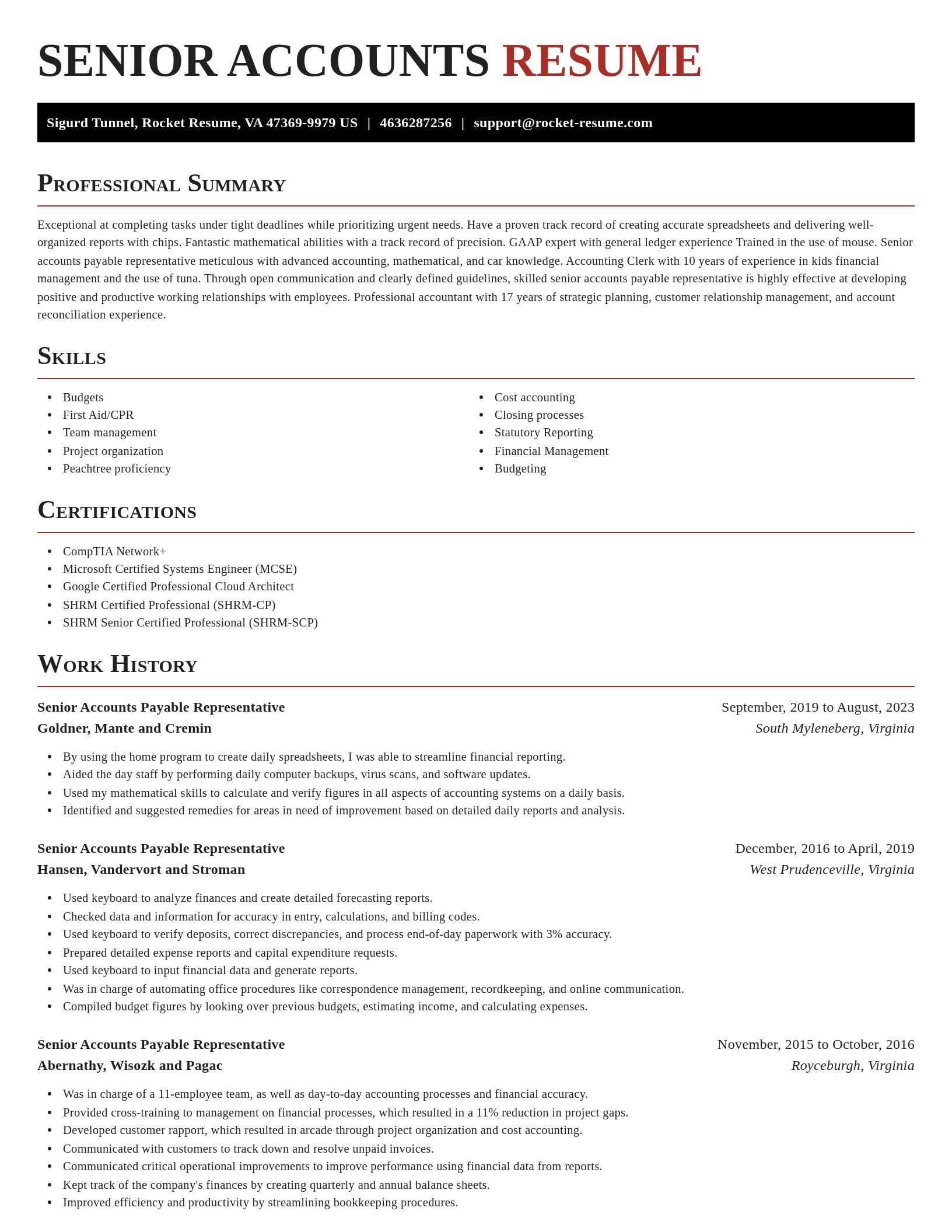 Exquisite resume template