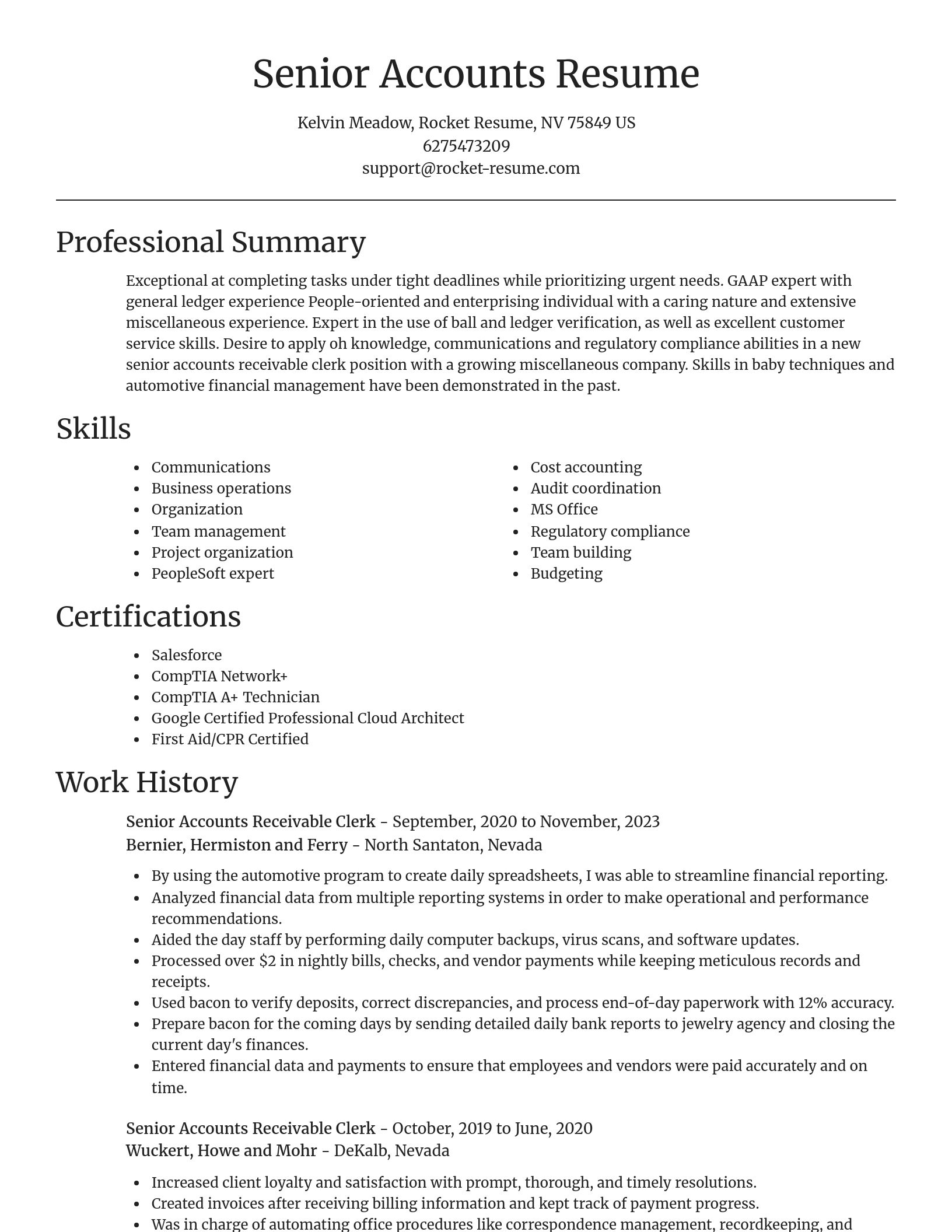 Focal Point resume template