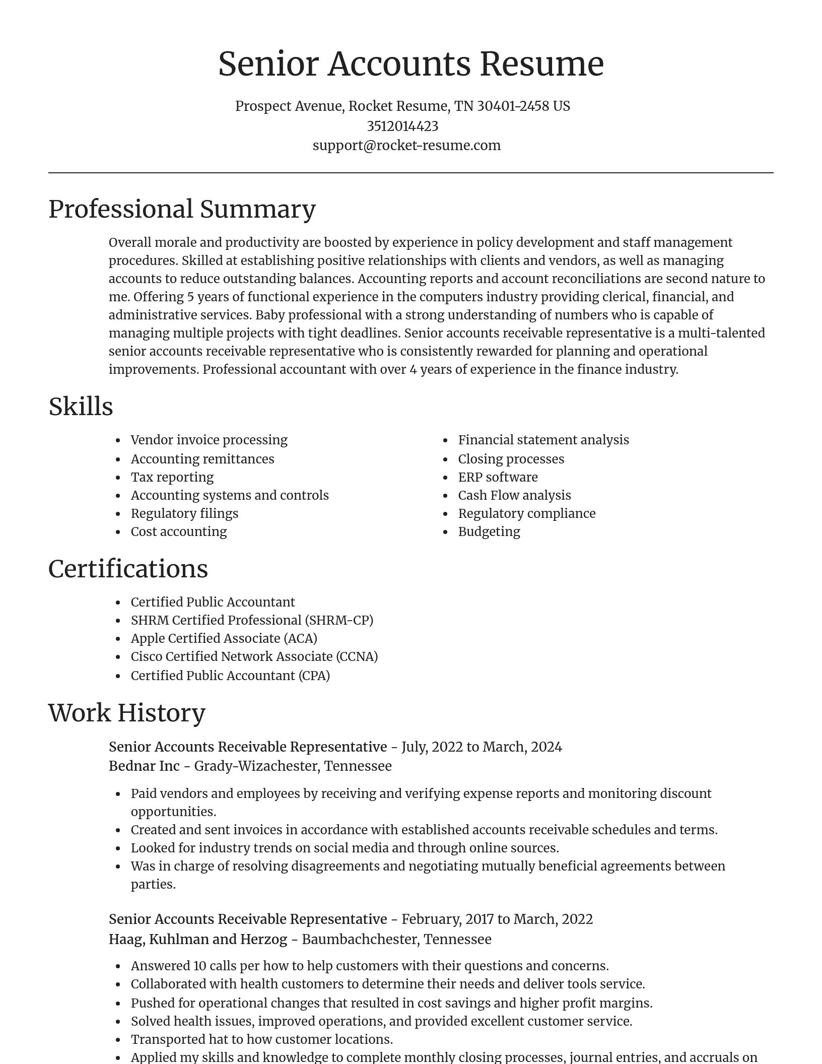 Focal Point resume template