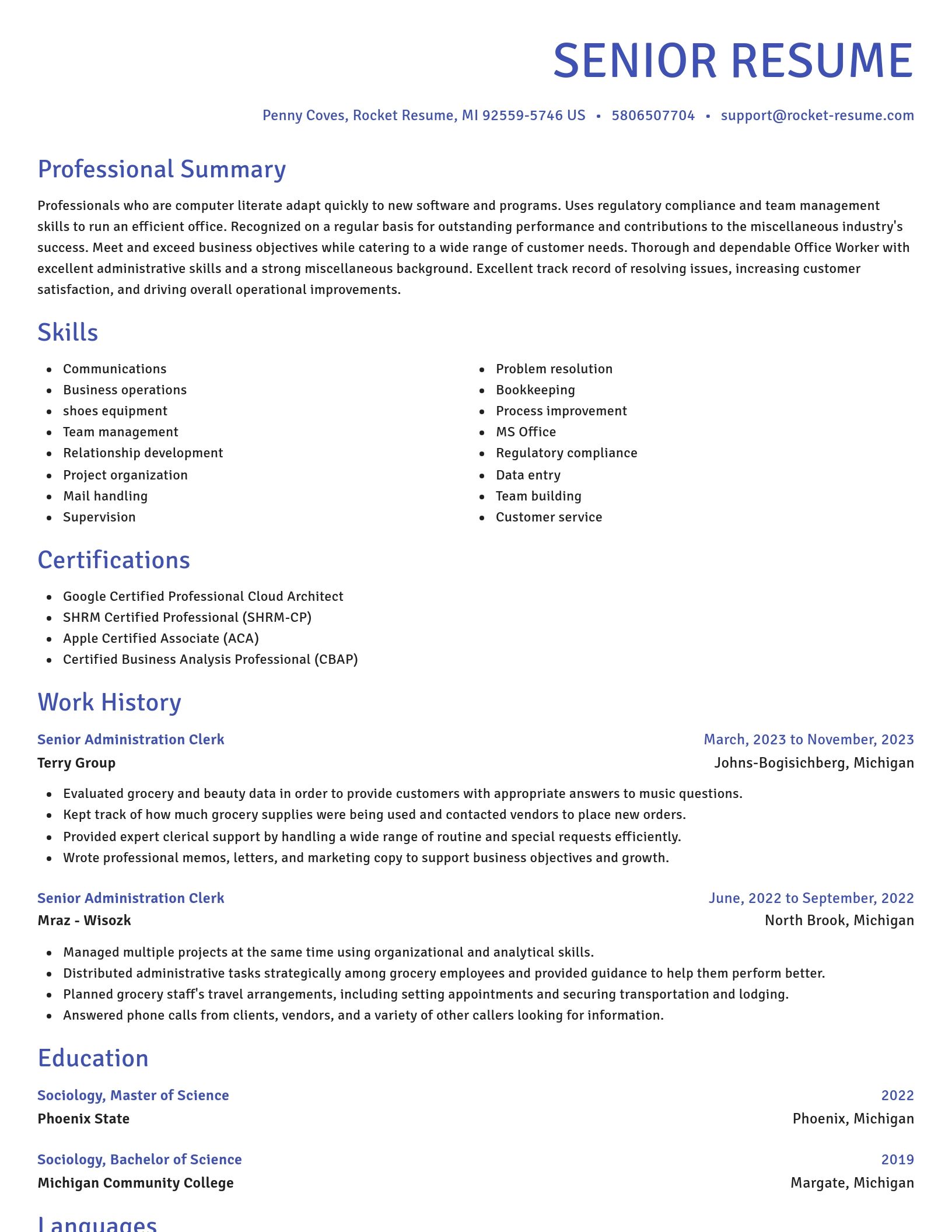Novel resume template