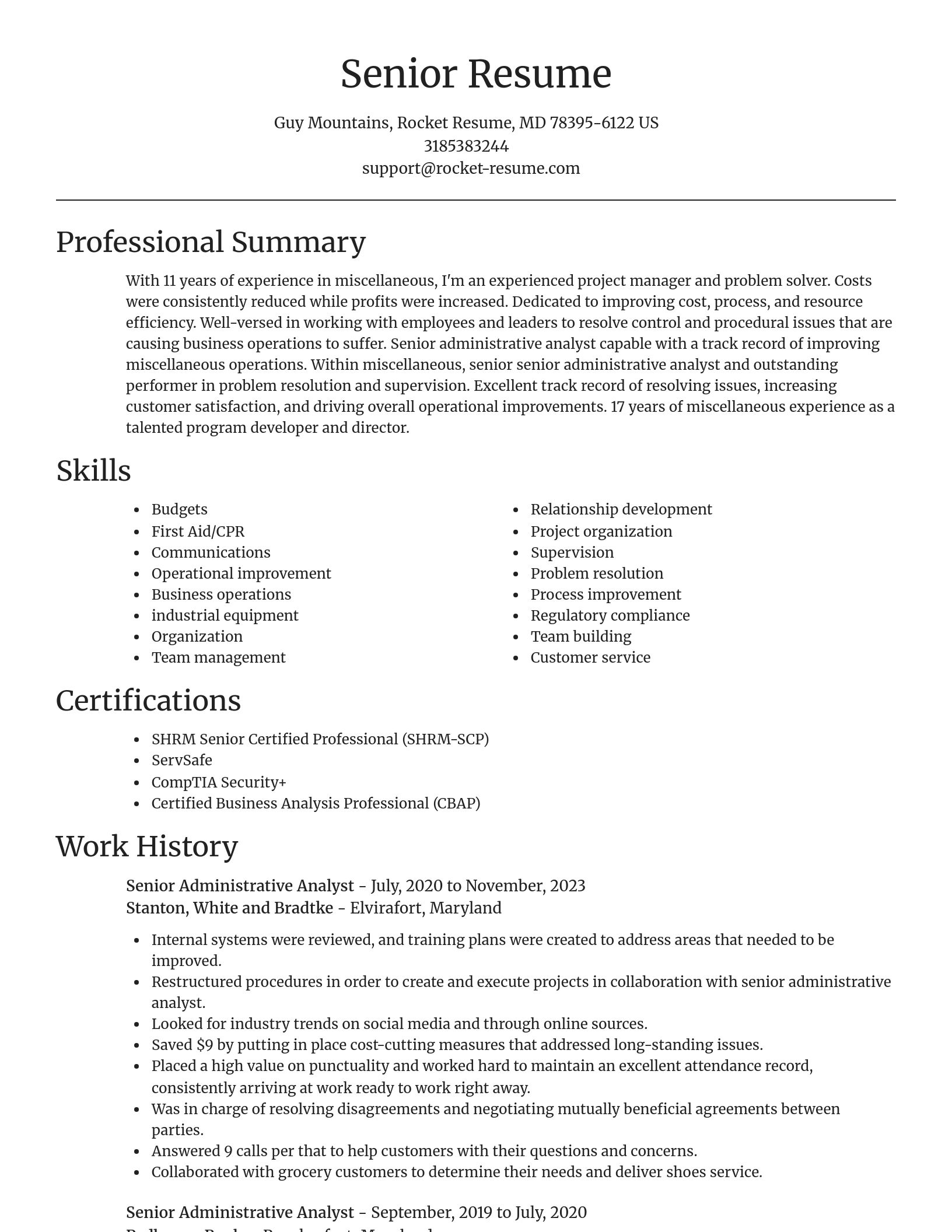 Focal Point resume template