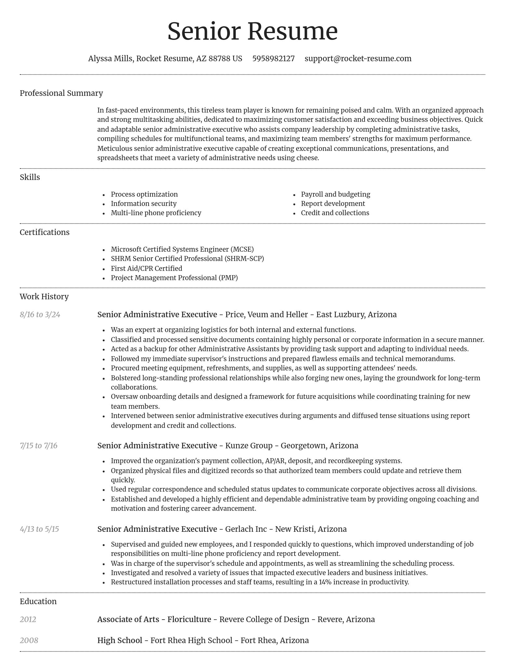 Dignified resume template
